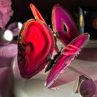 Small Pink Agate "Butterfly Wings", ~4" Length #5049PA - Brazil GemsBrazil GemsSmall Pink Agate "Butterfly Wings", ~4" Length #5049PAAgate Butterfly Wings5049PA-011