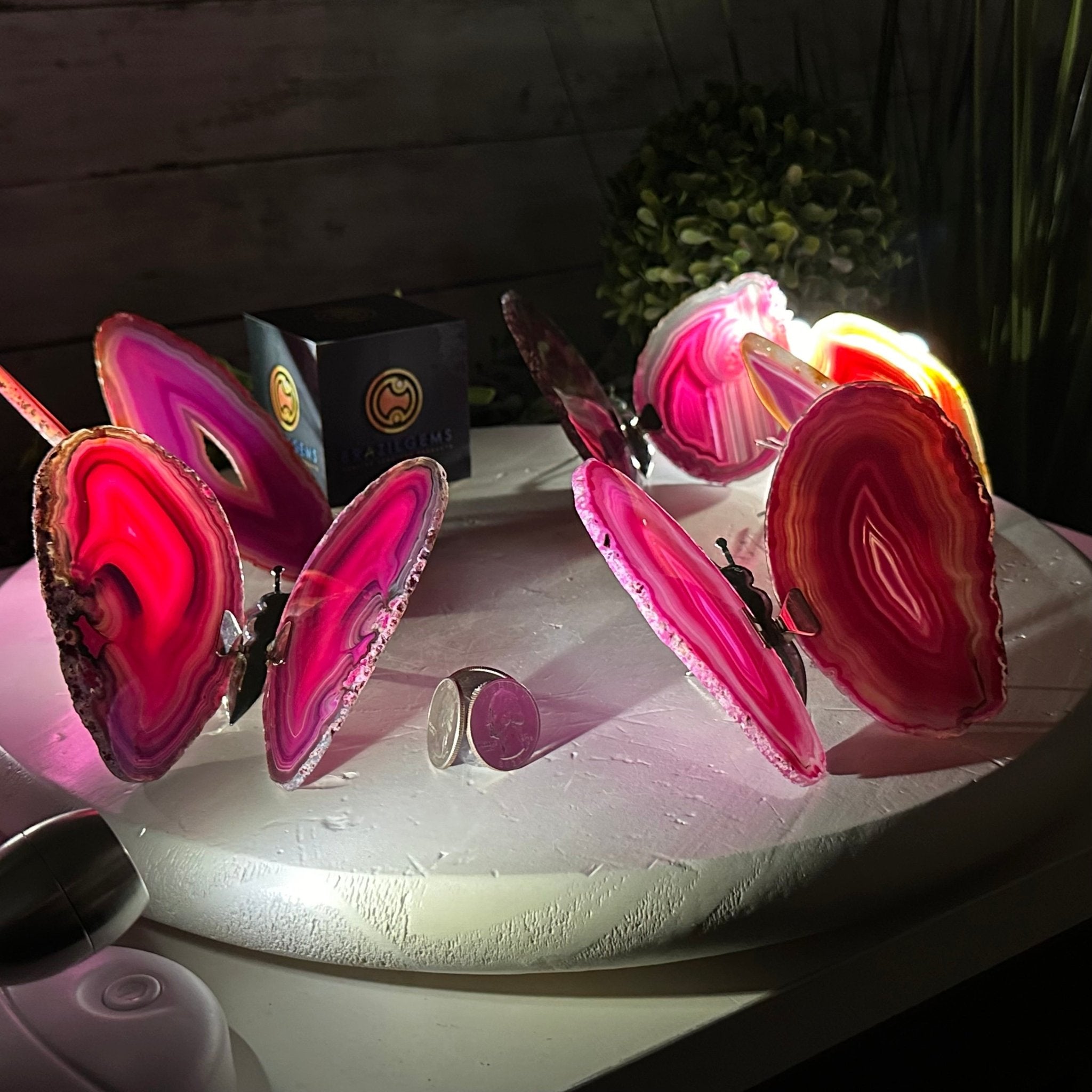 Small Pink Agate "Butterfly Wings", ~4" Length #5049PA - Brazil GemsBrazil GemsSmall Pink Agate "Butterfly Wings", ~4" Length #5049PAAgate Butterfly Wings5049PA-011
