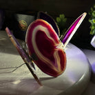 Small Purple Agate "Butterfly Wings", ~4" Length #5049PU - Brazil GemsBrazil GemsSmall Purple Agate "Butterfly Wings", ~4" Length #5049PUAgate Butterfly Wings5049PU-011