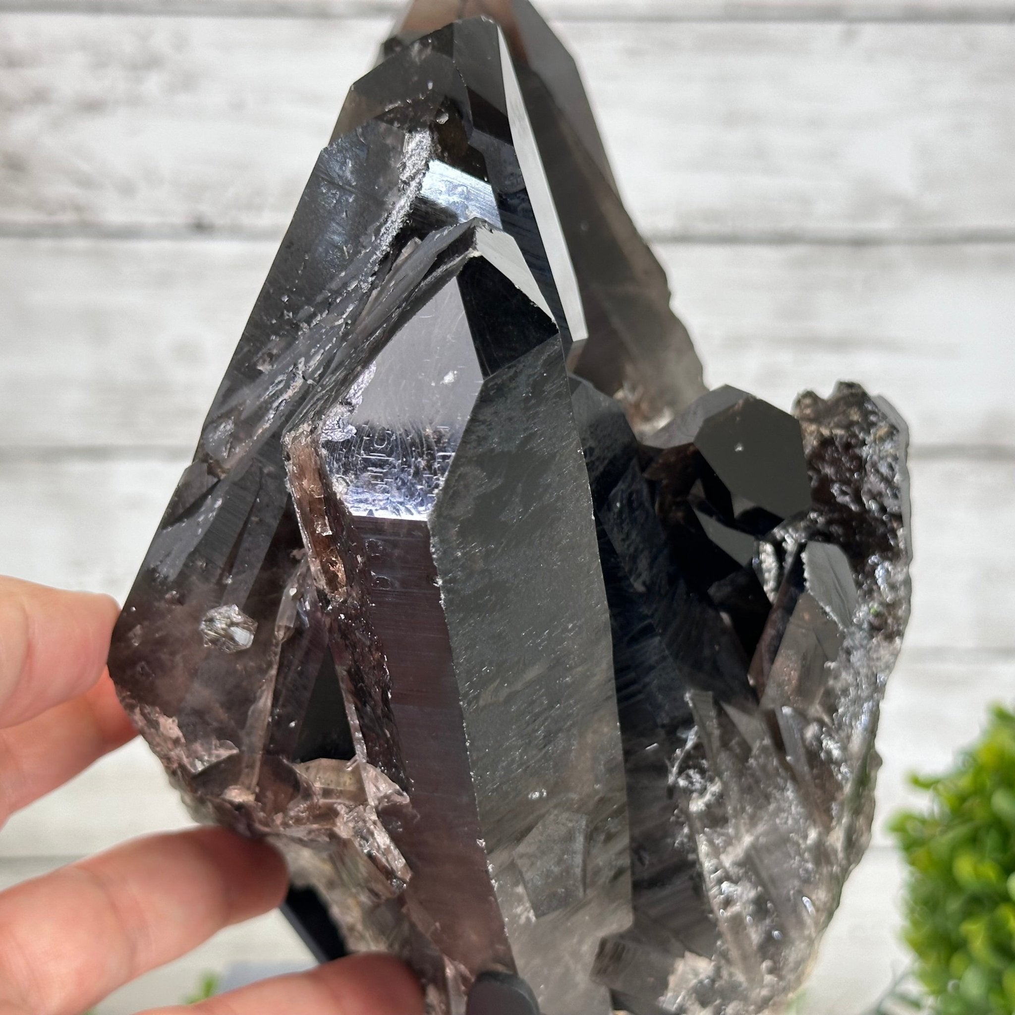Smoky Quartz Cluster on a Metal Stand, 11.7 lbs & 12.5" Tall #5700-0014 - Brazil GemsBrazil GemsSmoky Quartz Cluster on a Metal Stand, 11.7 lbs & 12.5" Tall #5700-0014Clusters on Fixed Bases5700-0014