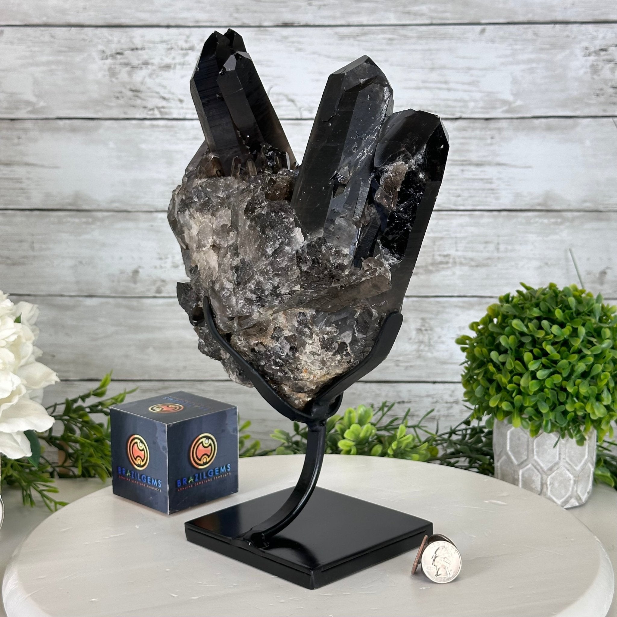 Smoky Quartz Cluster on a Metal Stand, 11.7 lbs & 12.5" Tall #5700-0014 - Brazil GemsBrazil GemsSmoky Quartz Cluster on a Metal Stand, 11.7 lbs & 12.5" Tall #5700-0014Clusters on Fixed Bases5700-0014