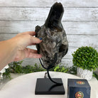 Smoky Quartz Cluster on a Metal Stand, 11.7 lbs & 12.5" Tall #5700-0014 - Brazil GemsBrazil GemsSmoky Quartz Cluster on a Metal Stand, 11.7 lbs & 12.5" Tall #5700-0014Clusters on Fixed Bases5700-0014