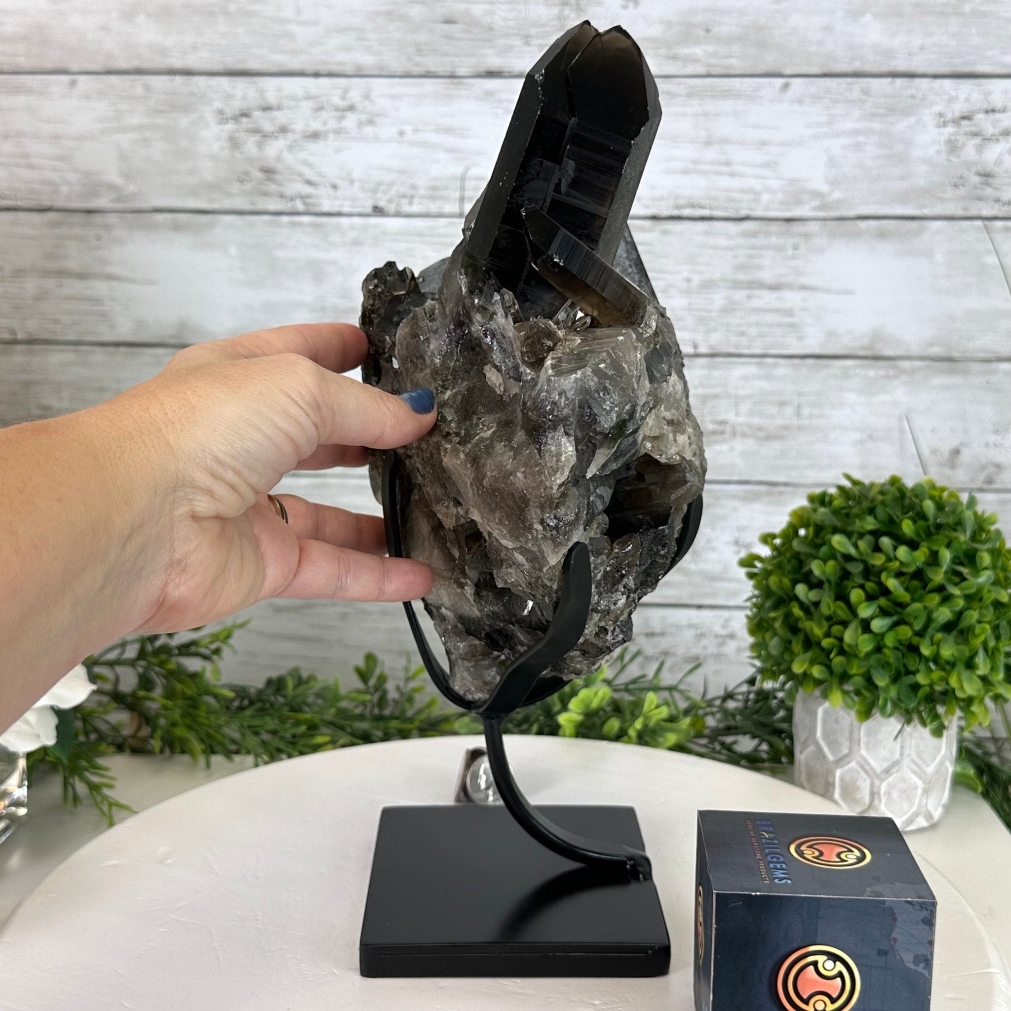 Smoky Quartz Cluster on a Metal Stand, 11.7 lbs & 12.5" Tall #5700-0014 - Brazil GemsBrazil GemsSmoky Quartz Cluster on a Metal Stand, 11.7 lbs & 12.5" Tall #5700-0014Clusters on Fixed Bases5700-0014