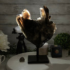 Smoky Quartz Cluster on a Metal Stand, 11.7 lbs & 12.5" Tall #5700-0014 - Brazil GemsBrazil GemsSmoky Quartz Cluster on a Metal Stand, 11.7 lbs & 12.5" Tall #5700-0014Clusters on Fixed Bases5700-0014