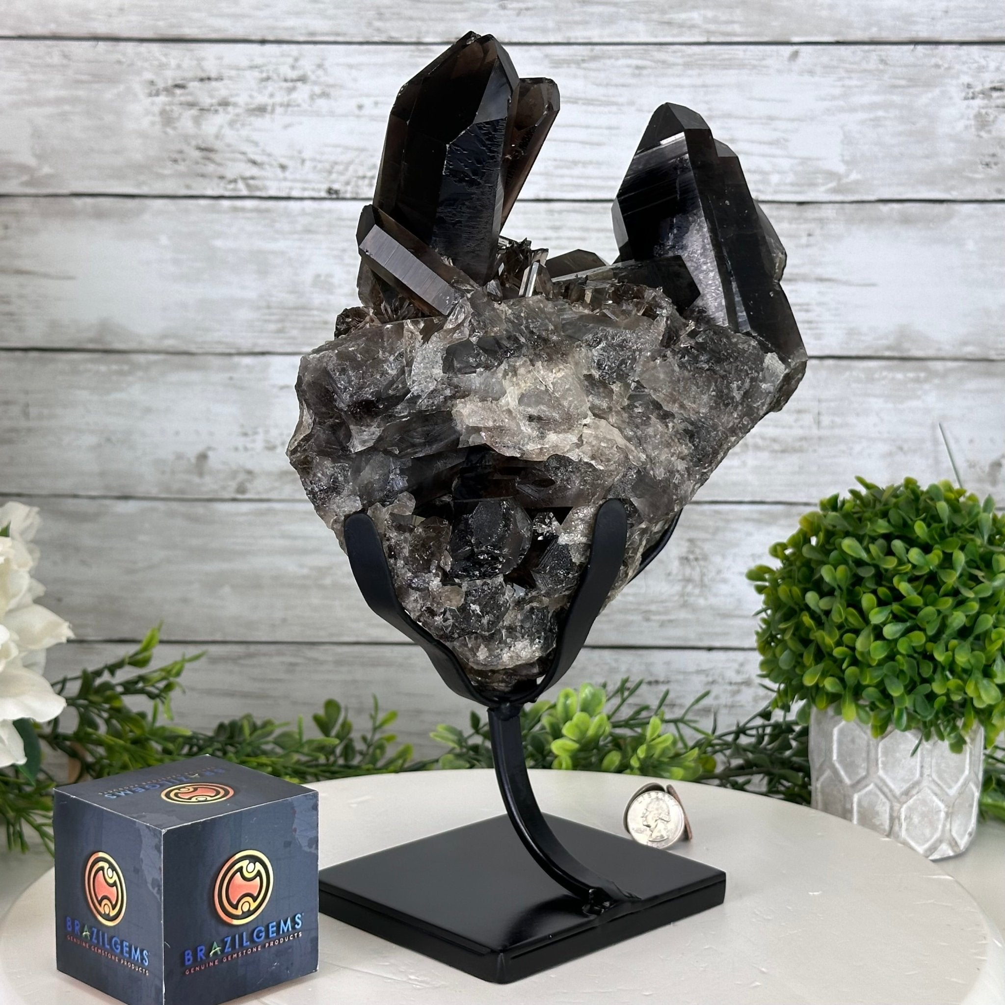 Smoky Quartz Cluster on a Metal Stand, 11.7 lbs & 12.5" Tall #5700-0014 - Brazil GemsBrazil GemsSmoky Quartz Cluster on a Metal Stand, 11.7 lbs & 12.5" Tall #5700-0014Clusters on Fixed Bases5700-0014
