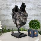 Smoky Quartz Cluster on a Metal Stand, 11.7 lbs & 12.5" Tall #5700-0014 - Brazil GemsBrazil GemsSmoky Quartz Cluster on a Metal Stand, 11.7 lbs & 12.5" Tall #5700-0014Clusters on Fixed Bases5700-0014