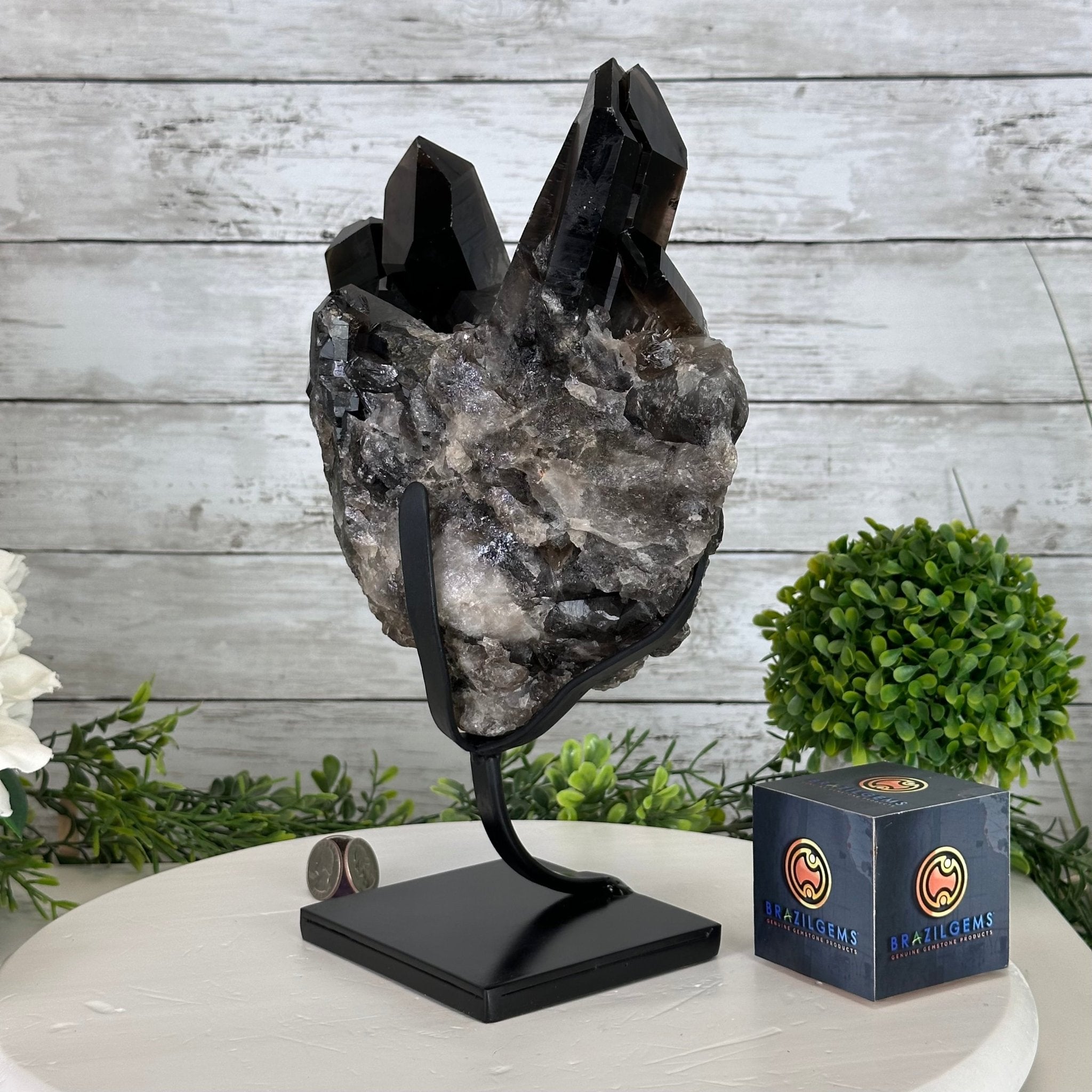 Smoky Quartz Cluster on a Metal Stand, 11.7 lbs & 12.5" Tall #5700-0014 - Brazil GemsBrazil GemsSmoky Quartz Cluster on a Metal Stand, 11.7 lbs & 12.5" Tall #5700-0014Clusters on Fixed Bases5700-0014