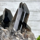 Smoky Quartz Cluster on a Metal Stand, 11.7 lbs & 12.5" Tall #5700-0014 - Brazil GemsBrazil GemsSmoky Quartz Cluster on a Metal Stand, 11.7 lbs & 12.5" Tall #5700-0014Clusters on Fixed Bases5700-0014