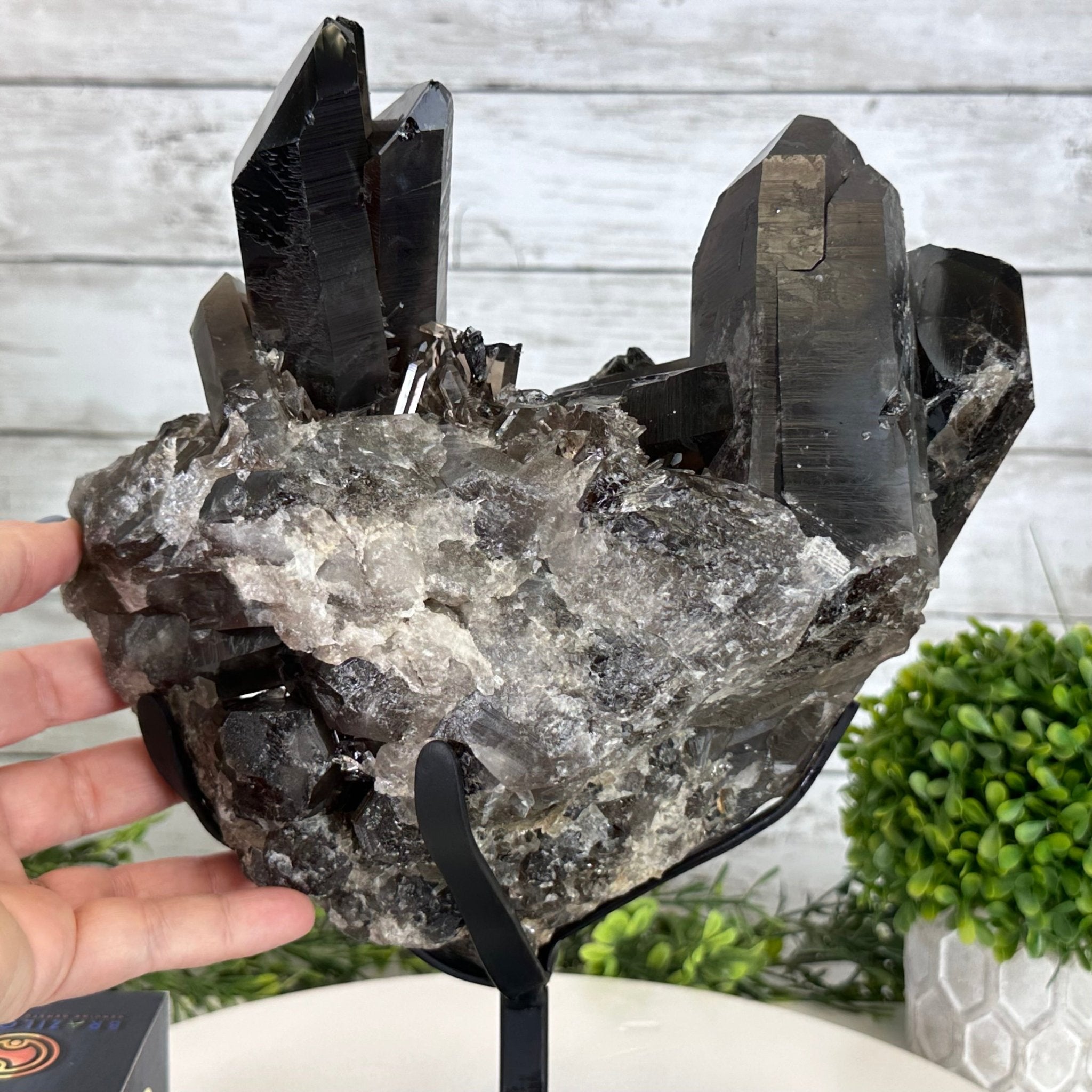 Smoky Quartz Cluster on a Metal Stand, 11.7 lbs & 12.5" Tall #5700-0014 - Brazil GemsBrazil GemsSmoky Quartz Cluster on a Metal Stand, 11.7 lbs & 12.5" Tall #5700-0014Clusters on Fixed Bases5700-0014