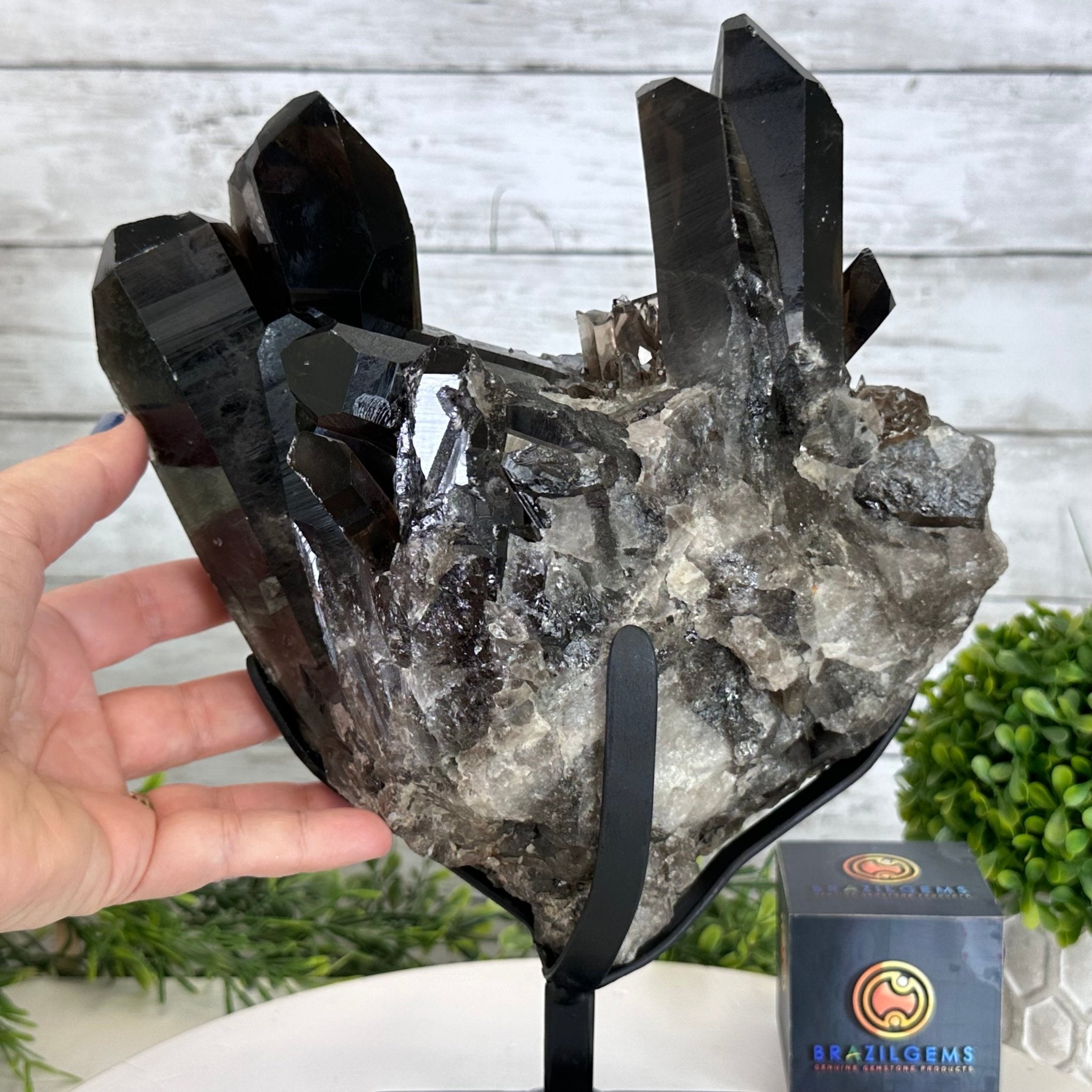 Smoky Quartz Cluster on a Metal Stand, 11.7 lbs & 12.5" Tall #5700-0014 - Brazil GemsBrazil GemsSmoky Quartz Cluster on a Metal Stand, 11.7 lbs & 12.5" Tall #5700-0014Clusters on Fixed Bases5700-0014