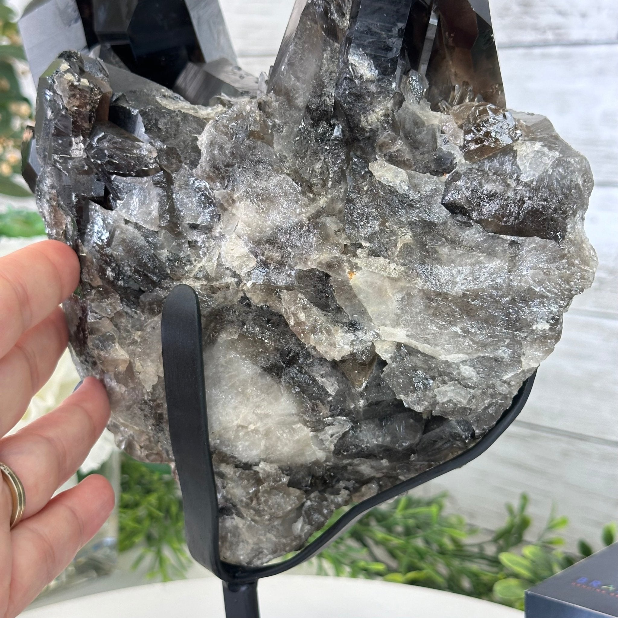Smoky Quartz Cluster on a Metal Stand, 11.7 lbs & 12.5" Tall #5700-0014 - Brazil GemsBrazil GemsSmoky Quartz Cluster on a Metal Stand, 11.7 lbs & 12.5" Tall #5700-0014Clusters on Fixed Bases5700-0014