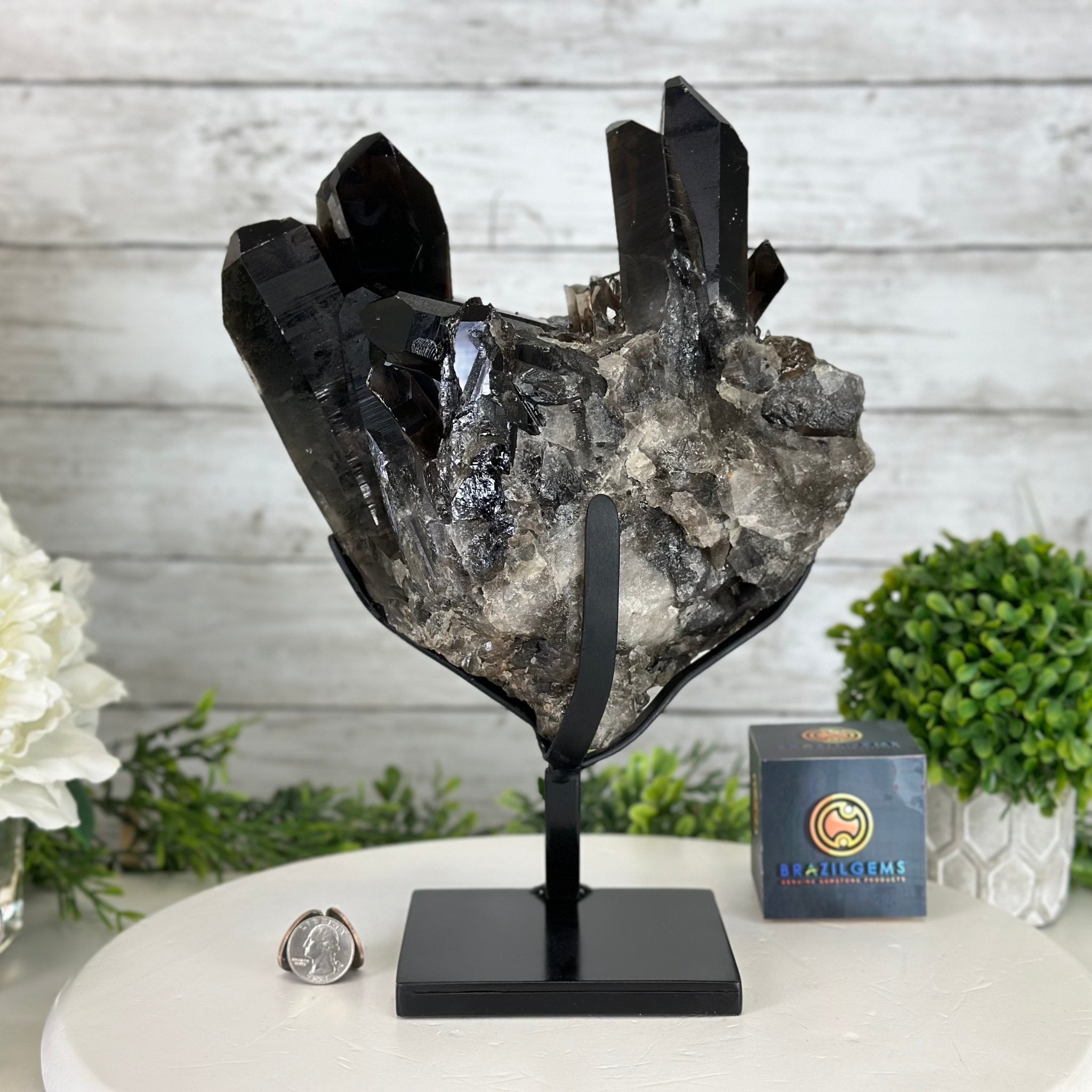 Smoky Quartz Cluster on a Metal Stand, 11.7 lbs & 12.5" Tall #5700-0014 - Brazil GemsBrazil GemsSmoky Quartz Cluster on a Metal Stand, 11.7 lbs & 12.5" Tall #5700-0014Clusters on Fixed Bases5700-0014