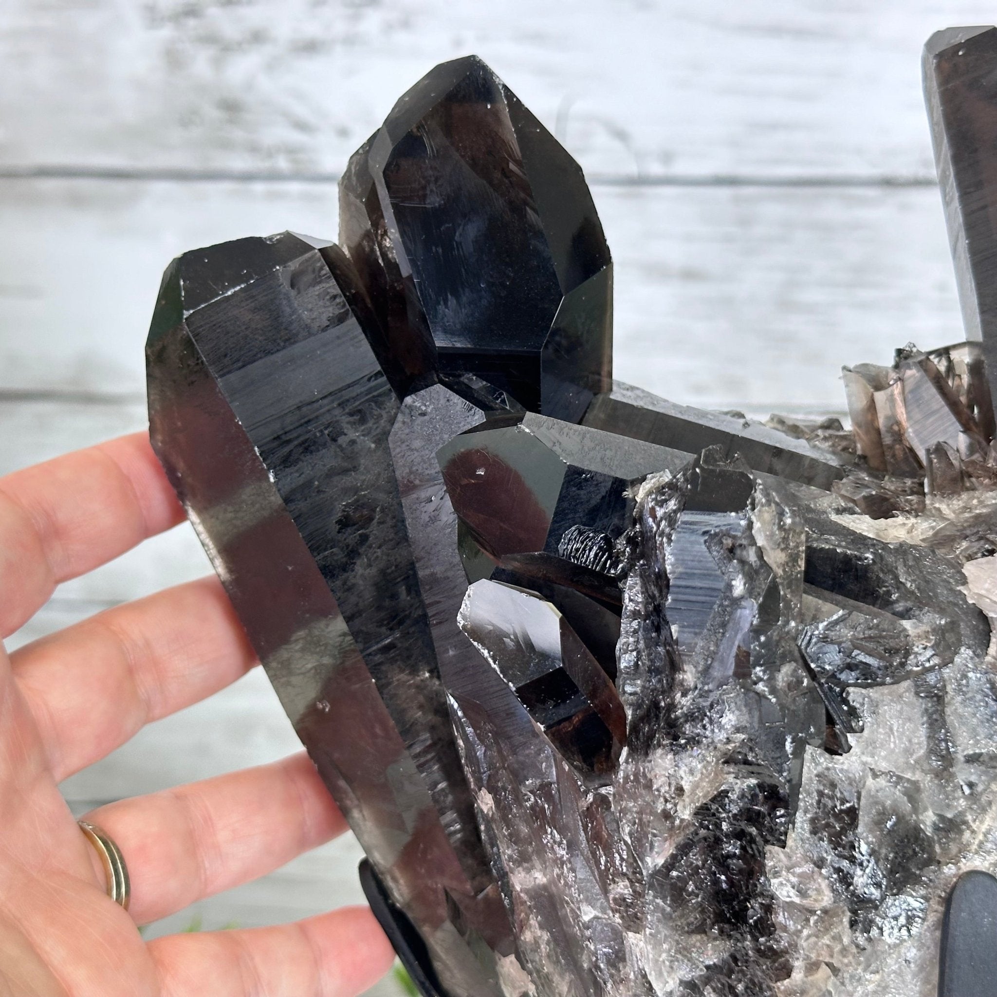 Smoky Quartz Cluster on a Metal Stand, 11.7 lbs & 12.5" Tall #5700-0014 - Brazil GemsBrazil GemsSmoky Quartz Cluster on a Metal Stand, 11.7 lbs & 12.5" Tall #5700-0014Clusters on Fixed Bases5700-0014