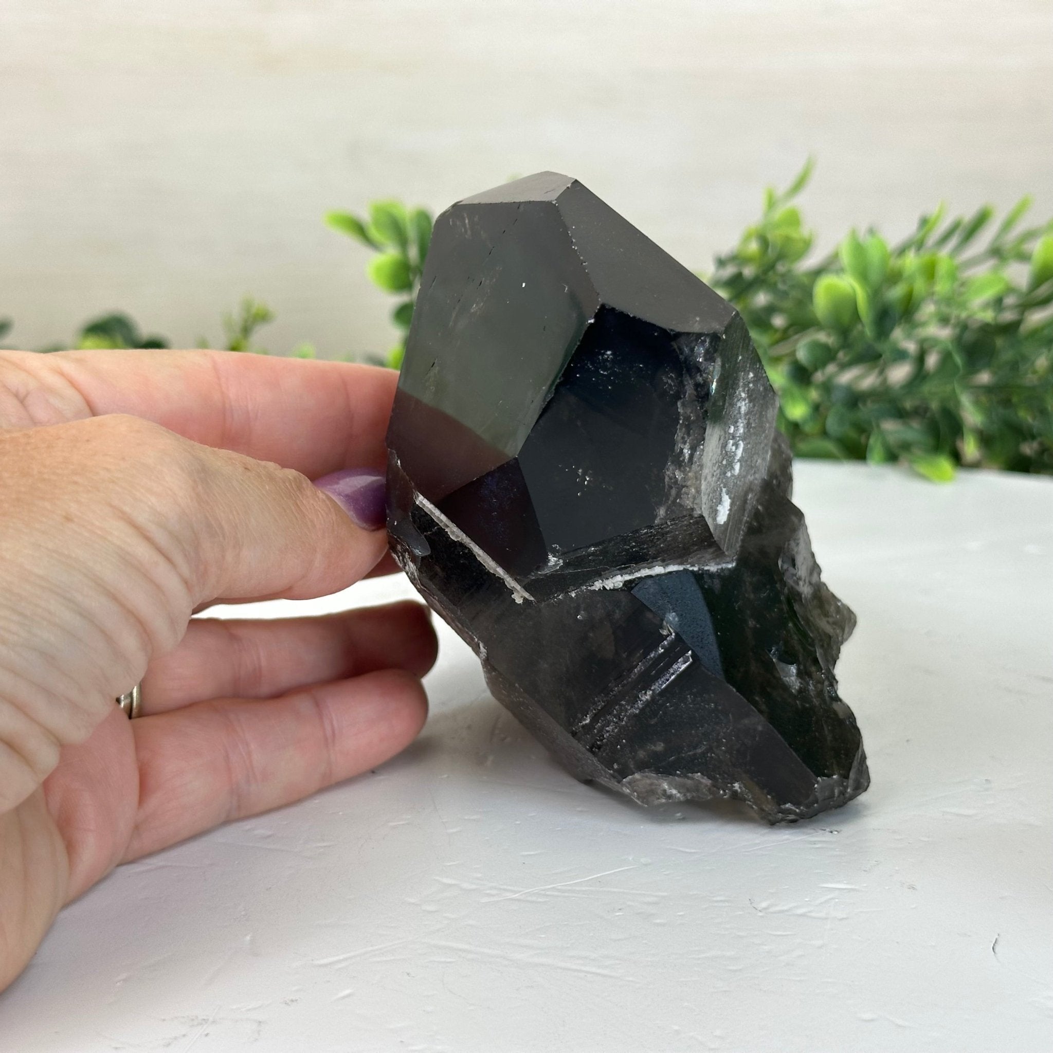 Smoky Quartz Crystal Cluster 2.4 lbs & 2.7" Tall #5702 - 0004 - Brazil GemsBrazil GemsSmoky Quartz Crystal Cluster 2.4 lbs & 2.7" Tall #5702 - 0004Clusters With Natural Bases5702 - 0004