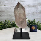 Smoky Quartz Crystal Point on a Metal Stand, 8.1" Tall Model #3122SQ-004 by Brazil Gems - Brazil GemsBrazil GemsSmoky Quartz Crystal Point on a Metal Stand, 8.1" Tall Model #3122SQ-004 by Brazil GemsCrystal Points3122SQ-004