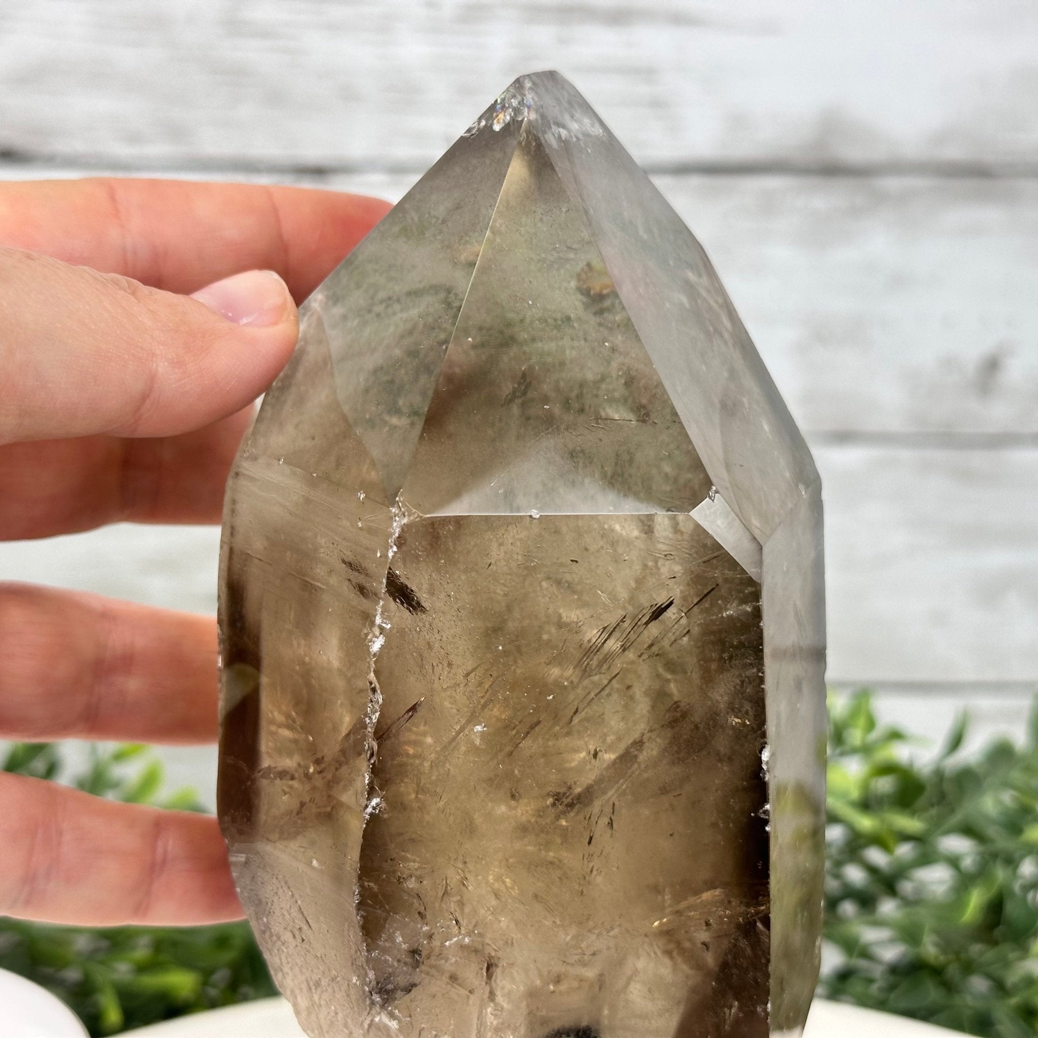 Smoky Quartz Crystal Point on a Metal Stand, 8.5" Tall Model #3122SQ-005 by Brazil Gems - Brazil GemsBrazil GemsSmoky Quartz Crystal Point on a Metal Stand, 8.5" Tall Model #3122SQ-005 by Brazil GemsCrystal Points3122SQ-005