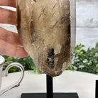 Smoky Quartz Crystal Point on a Metal Stand, 8.5" Tall Model #3122SQ-005 by Brazil Gems - Brazil GemsBrazil GemsSmoky Quartz Crystal Point on a Metal Stand, 8.5" Tall Model #3122SQ-005 by Brazil GemsCrystal Points3122SQ-005
