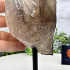 Smoky Quartz Crystal Point on a Metal Stand, 8.5" Tall Model #3122SQ-005 by Brazil Gems - Brazil GemsBrazil GemsSmoky Quartz Crystal Point on a Metal Stand, 8.5" Tall Model #3122SQ-005 by Brazil GemsCrystal Points3122SQ-005
