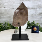 Smoky Quartz Crystal Point on a Metal Stand, 8.5" Tall Model #3122SQ-007 by Brazil Gems - Brazil GemsBrazil GemsSmoky Quartz Crystal Point on a Metal Stand, 8.5" Tall Model #3122SQ-007 by Brazil GemsCrystal Points3122SQ-007