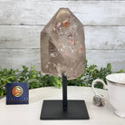 Smoky Quartz Crystal Point on a Metal Stand, 8.5" Tall Model #3122SQ-007 by Brazil Gems - Brazil GemsBrazil GemsSmoky Quartz Crystal Point on a Metal Stand, 8.5" Tall Model #3122SQ-007 by Brazil GemsCrystal Points3122SQ-007