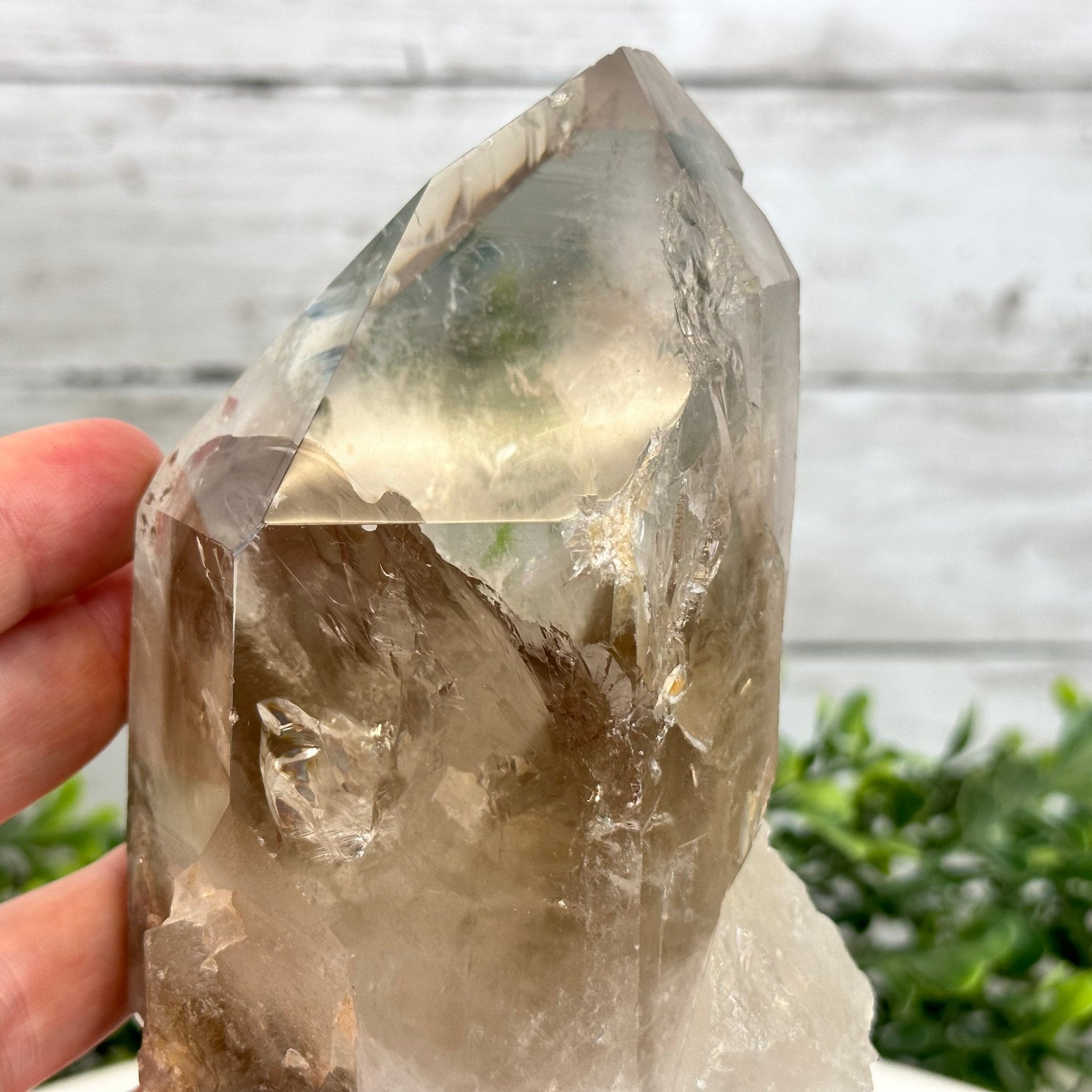 Smoky Quartz Crystal Point on a Metal Stand, 9" Tall Model #3122SQ-002 by Brazil Gems - Brazil GemsBrazil GemsSmoky Quartz Crystal Point on a Metal Stand, 9" Tall Model #3122SQ-002 by Brazil GemsCrystal Points3122SQ-002