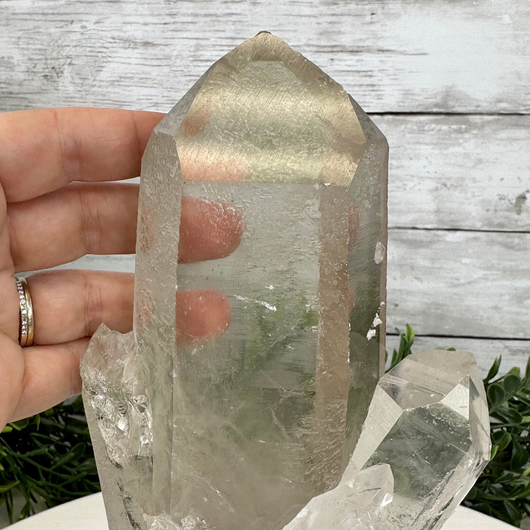 Smoky Quartz Crystal Point on a Metal Stand, 9.3" Tall Model #3122SQ-003 by Brazil Gems - Brazil GemsBrazil GemsSmoky Quartz Crystal Point on a Metal Stand, 9.3" Tall Model #3122SQ-003 by Brazil GemsCrystal Points3122SQ-003
