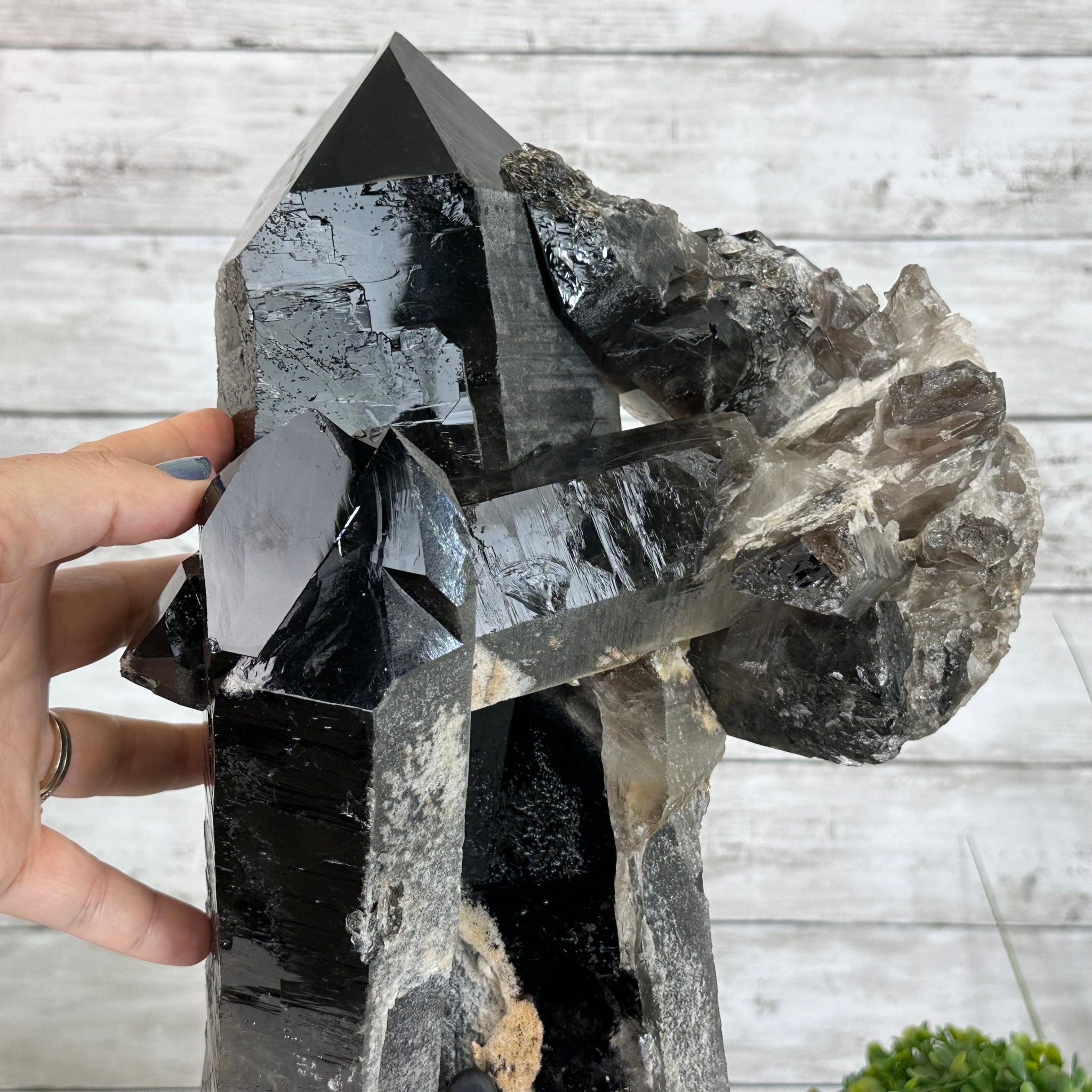 Smoky Quartz on a Rotating Stand, 26.2 lbs & 19.1" Tall #5701-0002 - Brazil GemsBrazil GemsSmoky Quartz on a Rotating Stand, 26.2 lbs & 19.1" Tall #5701-0002Clusters on Rotating Bases5701-0002