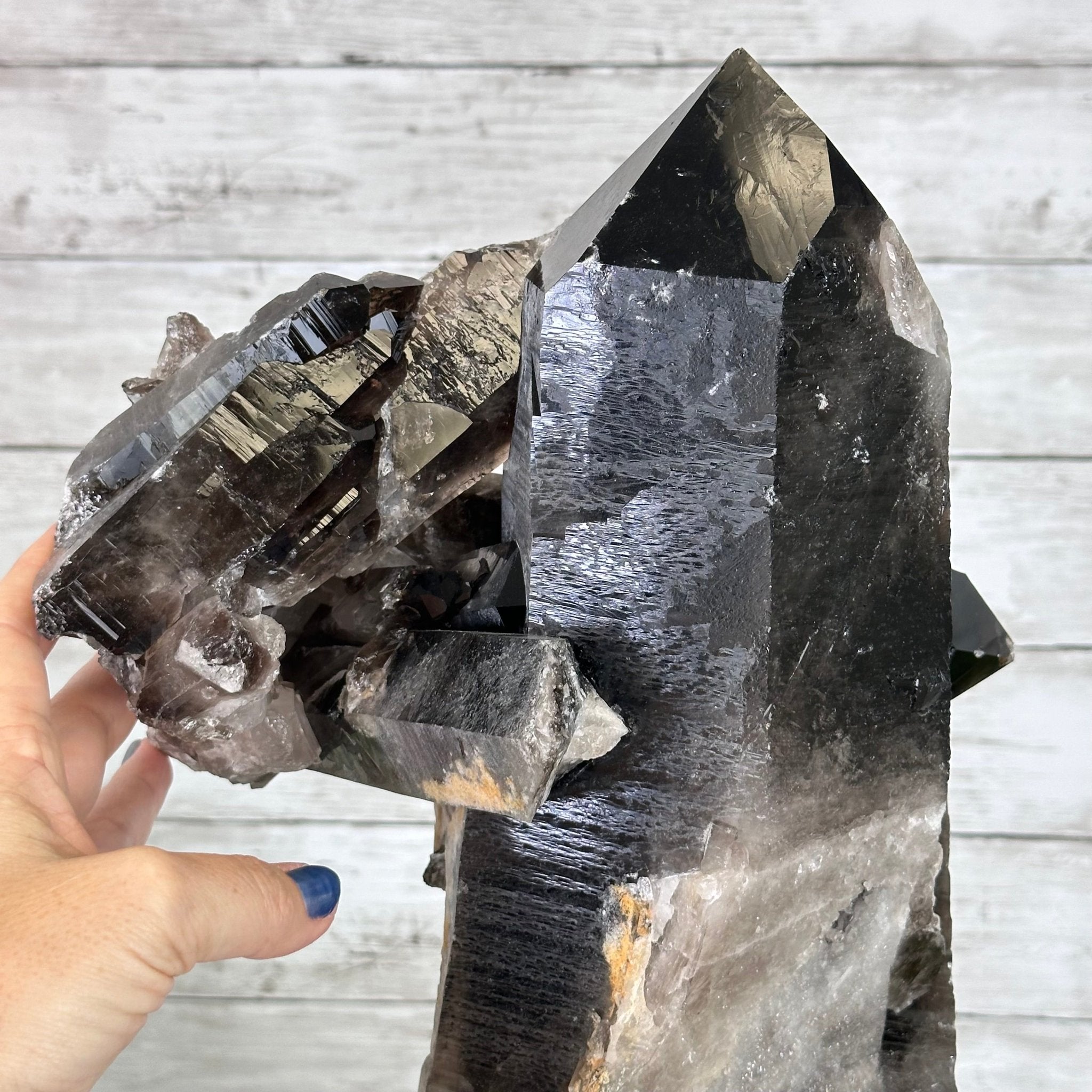 Smoky Quartz on a Rotating Stand, 26.2 lbs & 19.1" Tall #5701-0002 - Brazil GemsBrazil GemsSmoky Quartz on a Rotating Stand, 26.2 lbs & 19.1" Tall #5701-0002Clusters on Rotating Bases5701-0002