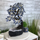 Sodalite 17" Tall Handmade Gemstone Tree on a Crystal base, 240 Gems #5405SODA - Brazil GemsBrazil GemsSodalite 17" Tall Handmade Gemstone Tree on a Crystal base, 240 Gems #5405SODAGemstone Trees5405SODA