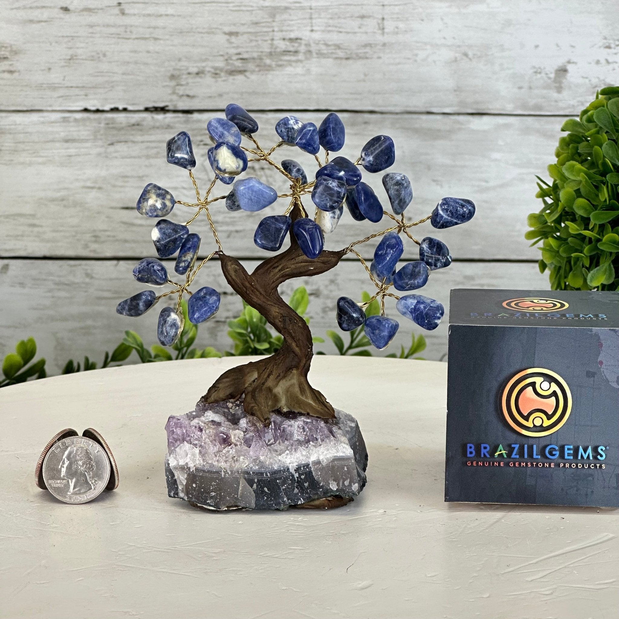Sodalite 5" Tall Handmade Gemstone Tree on a Crystal base, 35 Gems #5401SODA - Brazil GemsBrazil GemsSodalite 5" Tall Handmade Gemstone Tree on a Crystal base, 35 Gems #5401SODAGemstone Trees5401SODA
