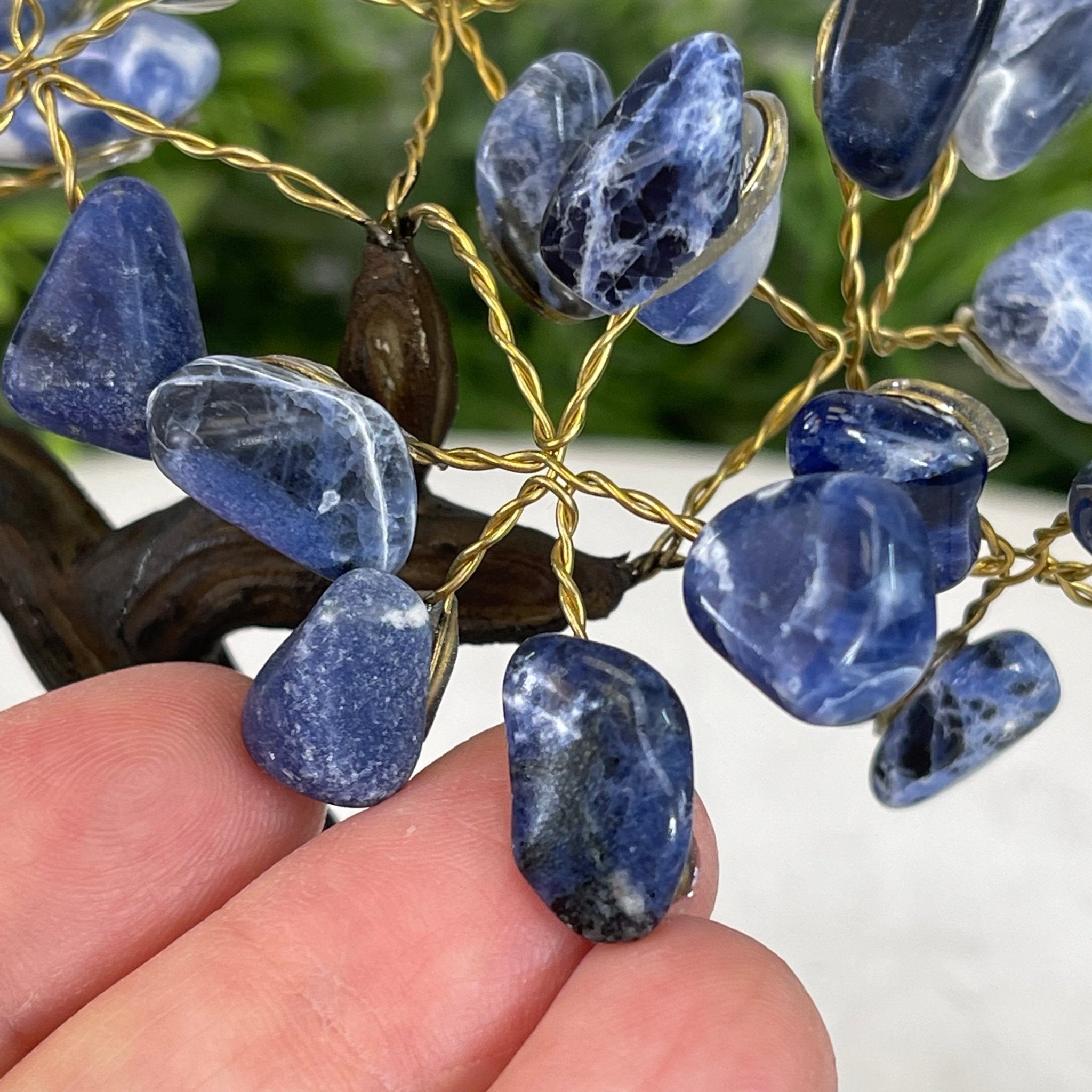 Sodalite 5" Tall Handmade Gemstone Tree on a Crystal base, 35 Gems #5401SODA - Brazil GemsBrazil GemsSodalite 5" Tall Handmade Gemstone Tree on a Crystal base, 35 Gems #5401SODAGemstone Trees5401SODA