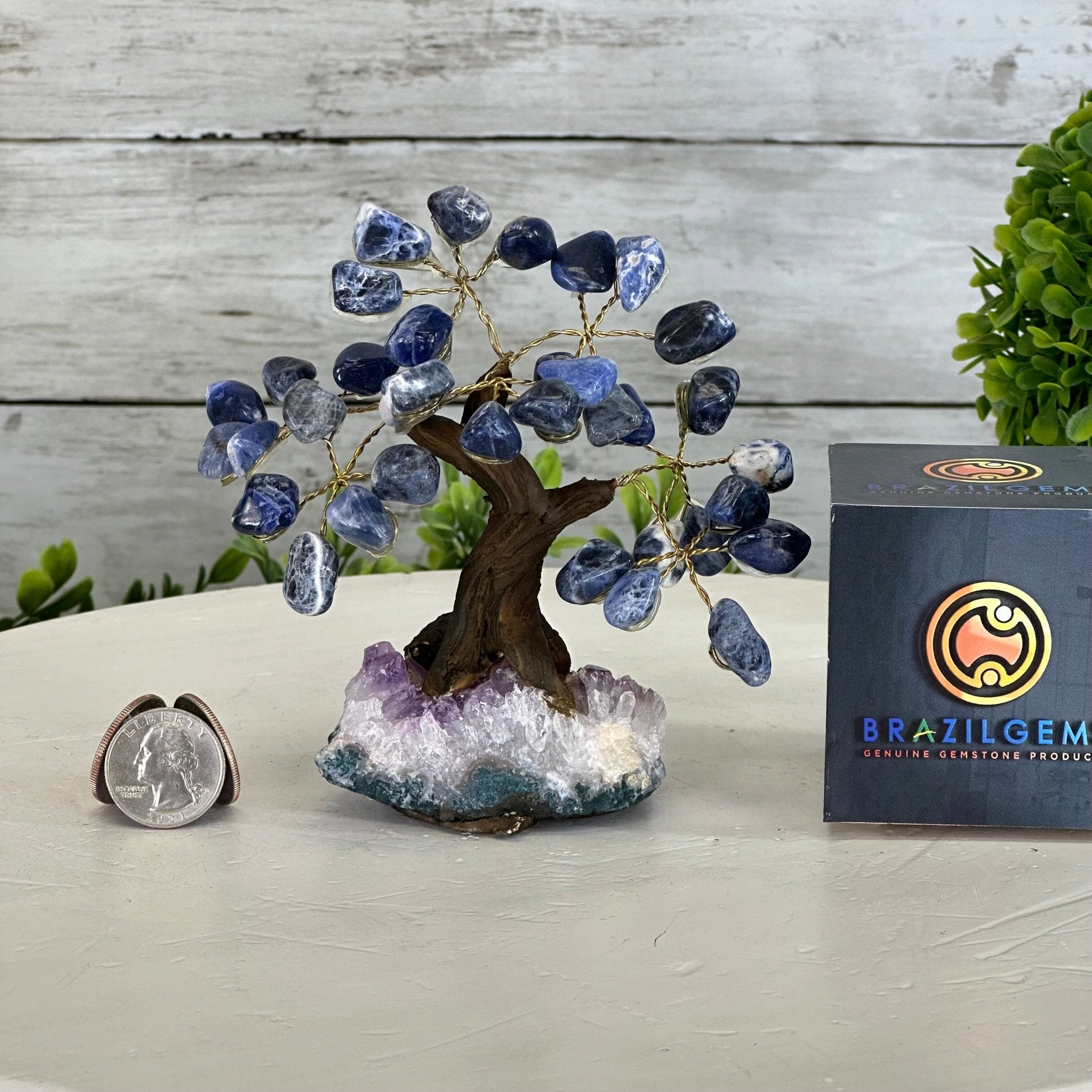 Sodalite 5" Tall Handmade Gemstone Tree on a Crystal base, 35 Gems #5401SODA - Brazil GemsBrazil GemsSodalite 5" Tall Handmade Gemstone Tree on a Crystal base, 35 Gems #5401SODAGemstone Trees5401SODA