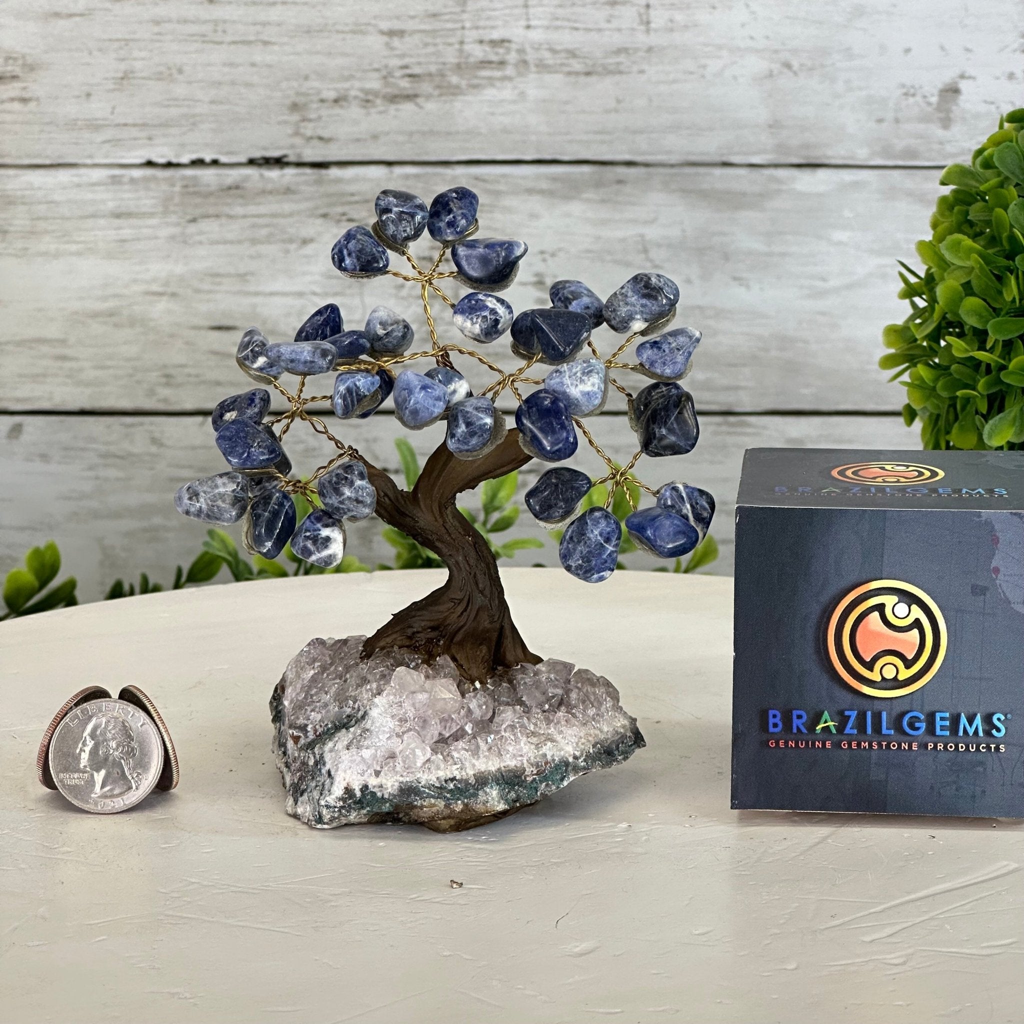 Sodalite 5" Tall Handmade Gemstone Tree on a Crystal base, 35 Gems #5401SODA - Brazil GemsBrazil GemsSodalite 5" Tall Handmade Gemstone Tree on a Crystal base, 35 Gems #5401SODAGemstone Trees5401SODA