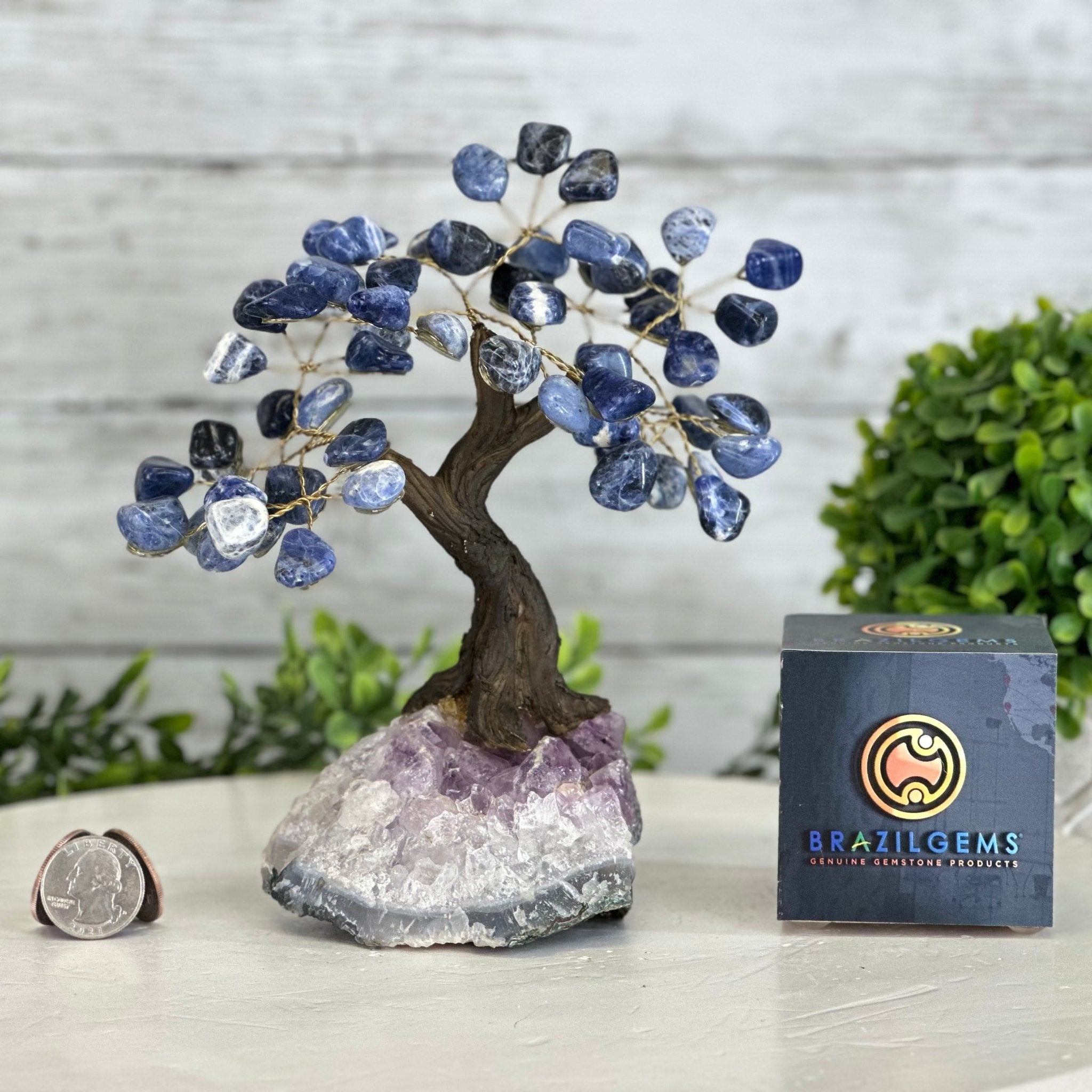 Sodalite 7" Tall Handmade Gemstone Tree on a Crystal base, 60 Gems #5402SODA - Brazil GemsBrazil GemsSodalite 7" Tall Handmade Gemstone Tree on a Crystal base, 60 Gems #5402SODAGemstone Trees5402SODA