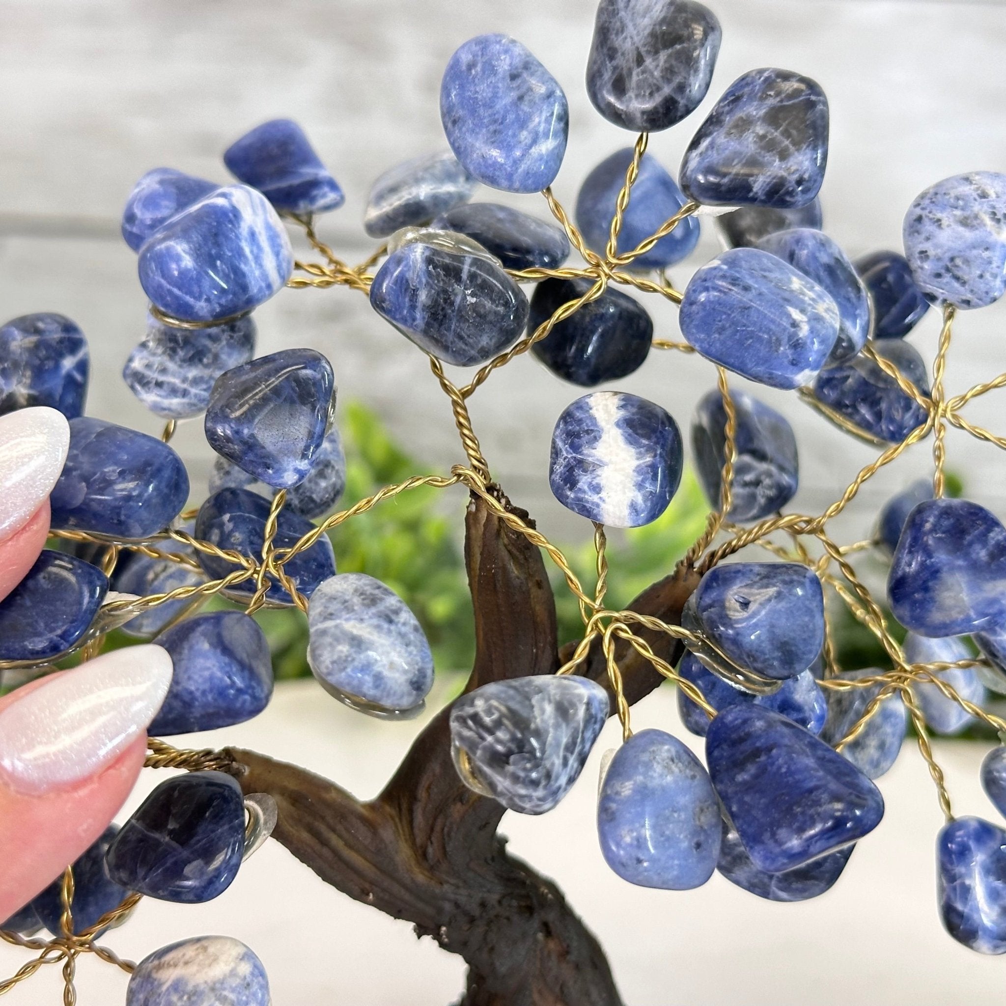 Sodalite 7" Tall Handmade Gemstone Tree on a Crystal base, 60 Gems #5402SODA - Brazil GemsBrazil GemsSodalite 7" Tall Handmade Gemstone Tree on a Crystal base, 60 Gems #5402SODAGemstone Trees5402SODA