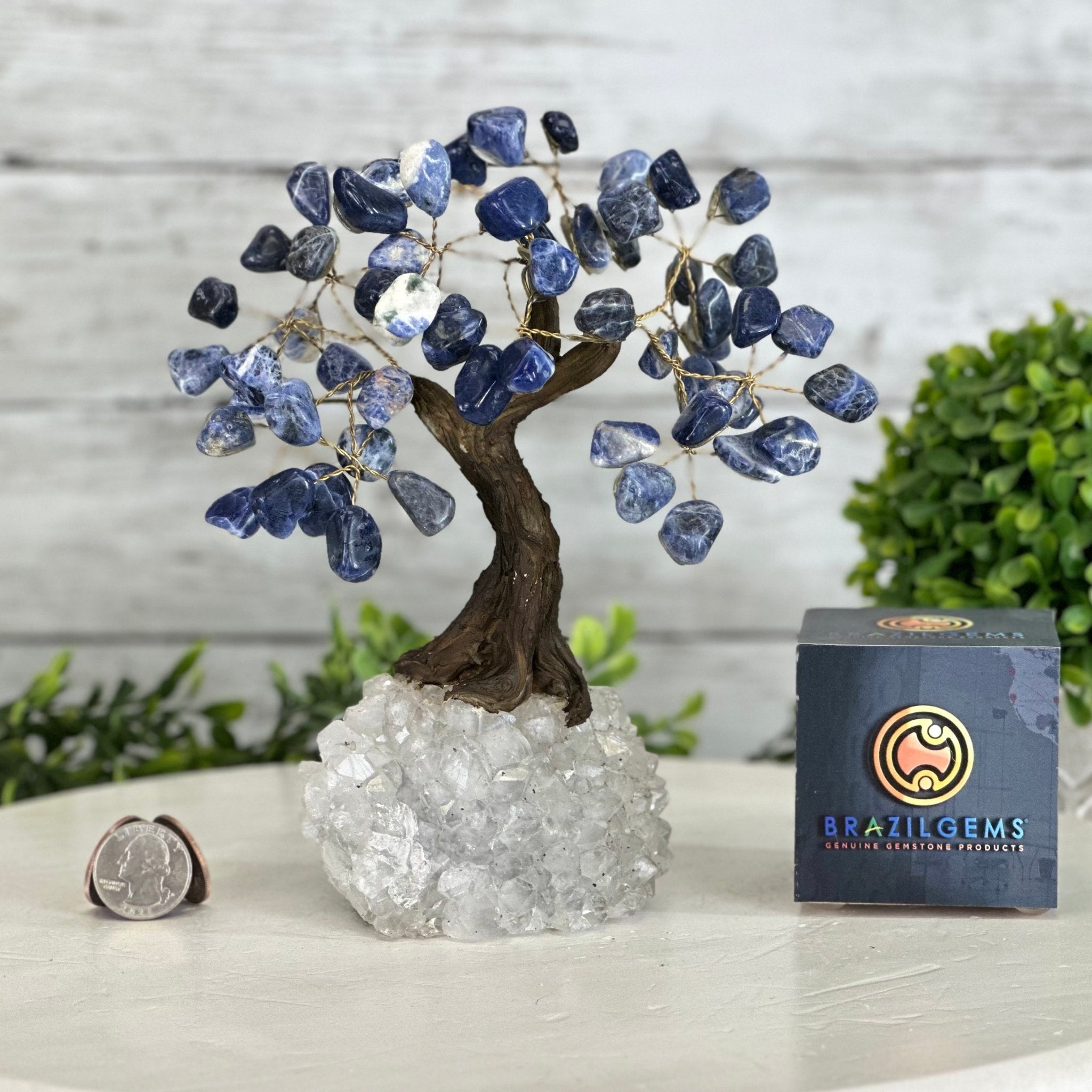 Sodalite 7" Tall Handmade Gemstone Tree on a Crystal base, 60 Gems #5402SODA - Brazil GemsBrazil GemsSodalite 7" Tall Handmade Gemstone Tree on a Crystal base, 60 Gems #5402SODAGemstone Trees5402SODA