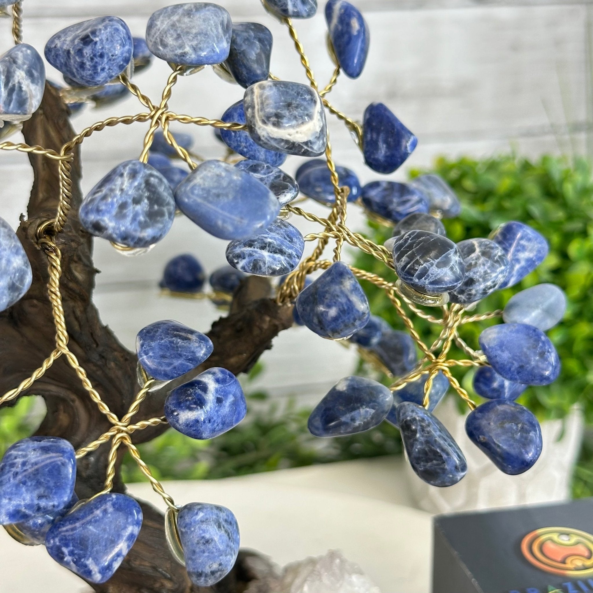 Sodalite 9" Tall Handmade Gemstone Tree on a Crystal base, 120 Gems #5403SODA - Brazil GemsBrazil GemsSodalite 9" Tall Handmade Gemstone Tree on a Crystal base, 120 Gems #5403SODAGemstone Trees5403SODA