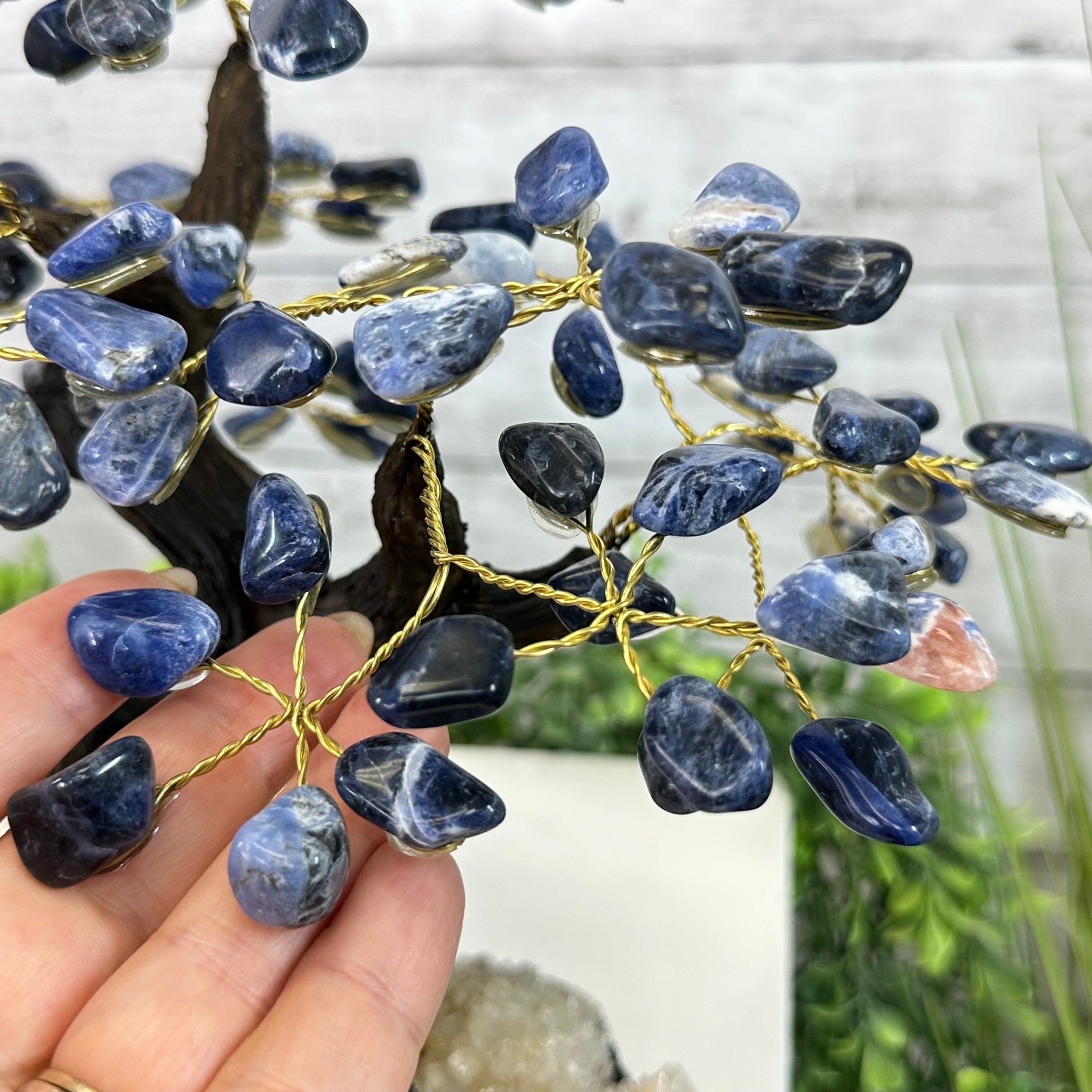 Sodalite 9" Tall Handmade Gemstone Tree on a Crystal base, 120 Gems #5403SODA - Brazil GemsBrazil GemsSodalite 9" Tall Handmade Gemstone Tree on a Crystal base, 120 Gems #5403SODAGemstone Trees5403SODA