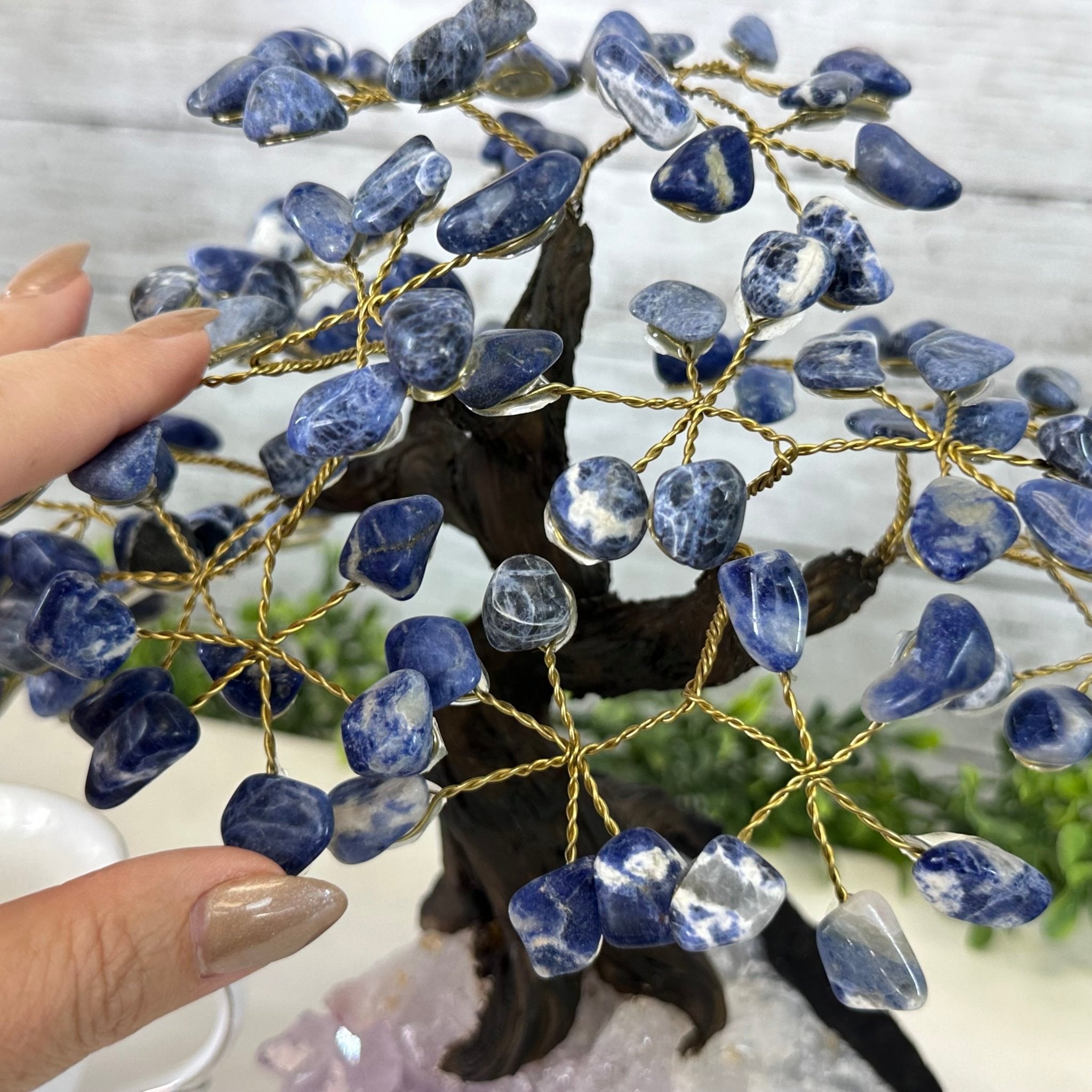 Sodalite 9" Tall Handmade Gemstone Tree on a Crystal base, 120 Gems #5403SODA - Brazil GemsBrazil GemsSodalite 9" Tall Handmade Gemstone Tree on a Crystal base, 120 Gems #5403SODAGemstone Trees5403SODA