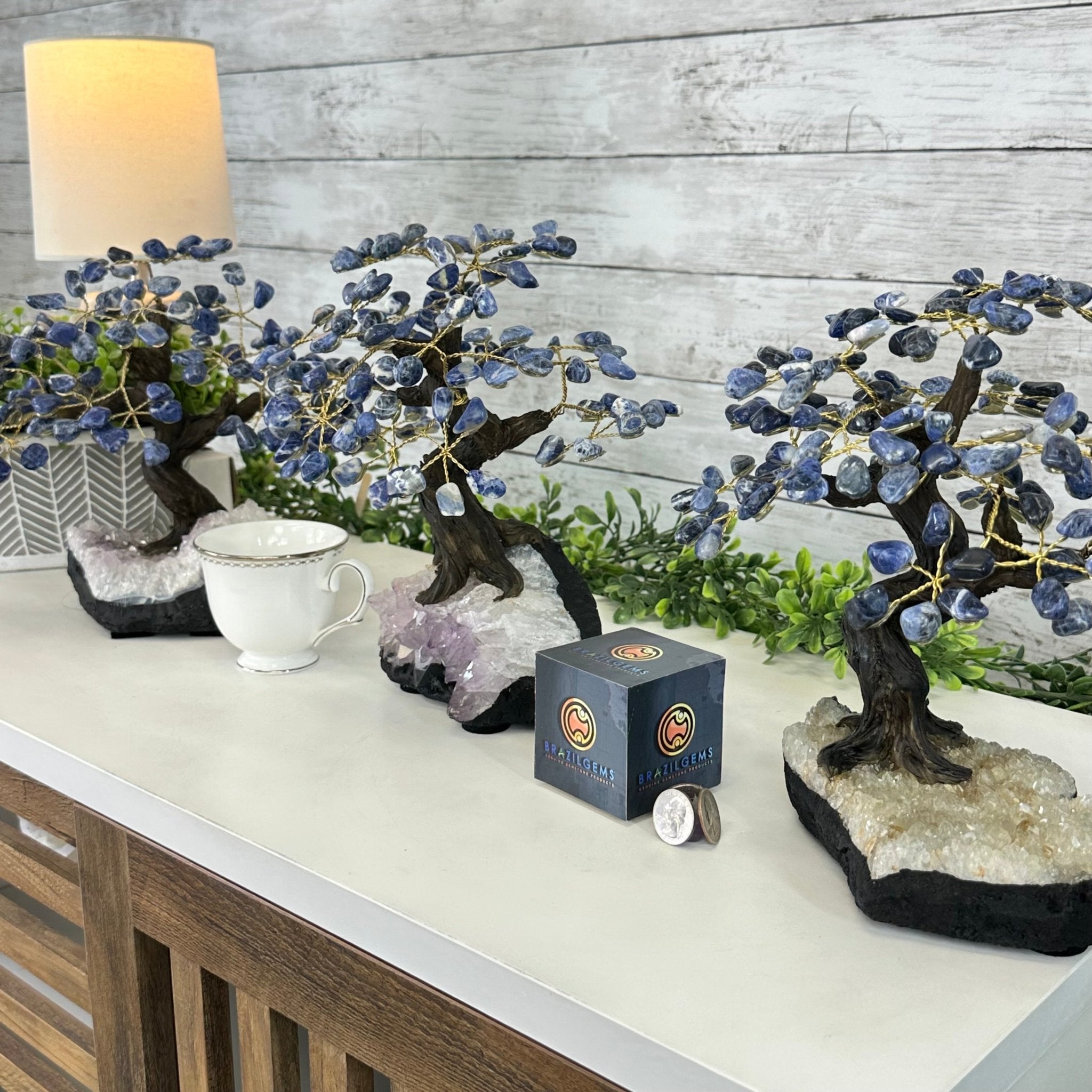 Sodalite 9" Tall Handmade Gemstone Tree on a Crystal base, 120 Gems #5403SODA - Brazil GemsBrazil GemsSodalite 9" Tall Handmade Gemstone Tree on a Crystal base, 120 Gems #5403SODAGemstone Trees5403SODA