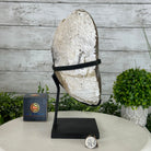 Special Agate "Bowl" on a Metal Base, 6.4 lbs & 11.5" Tall #5500NA-001 - Brazil GemsBrazil GemsSpecial Agate "Bowl" on a Metal Base, 6.4 lbs & 11.5" Tall #5500NA-001Clusters on Fixed Bases5500NA-001