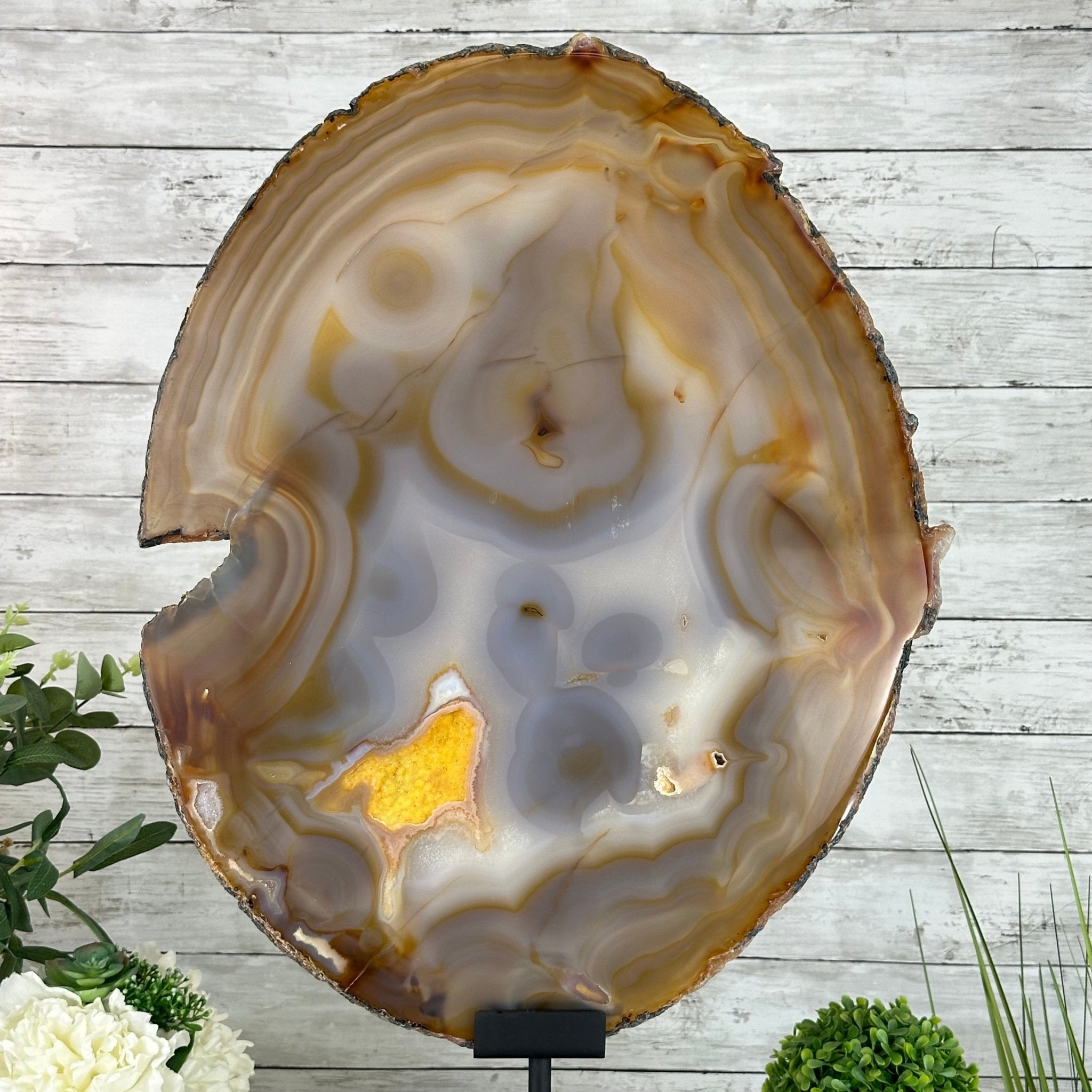 Special Large Natural Brazilian Agate Slice on a Metal Stand, 28.5" Tall #5056-0044 - Brazil GemsBrazil GemsSpecial Large Natural Brazilian Agate Slice on a Metal Stand, 28.5" Tall #5056-0044Slices on Fixed Bases5056-0044