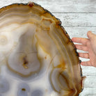 Special Large Natural Brazilian Agate Slice on a Metal Stand, 28.5" Tall #5056-0044 - Brazil GemsBrazil GemsSpecial Large Natural Brazilian Agate Slice on a Metal Stand, 28.5" Tall #5056-0044Slices on Fixed Bases5056-0044