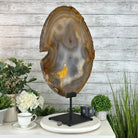 Special Large Natural Brazilian Agate Slice on a Metal Stand, 28.5" Tall #5056-0044 - Brazil GemsBrazil GemsSpecial Large Natural Brazilian Agate Slice on a Metal Stand, 28.5" Tall #5056-0044Slices on Fixed Bases5056-0044