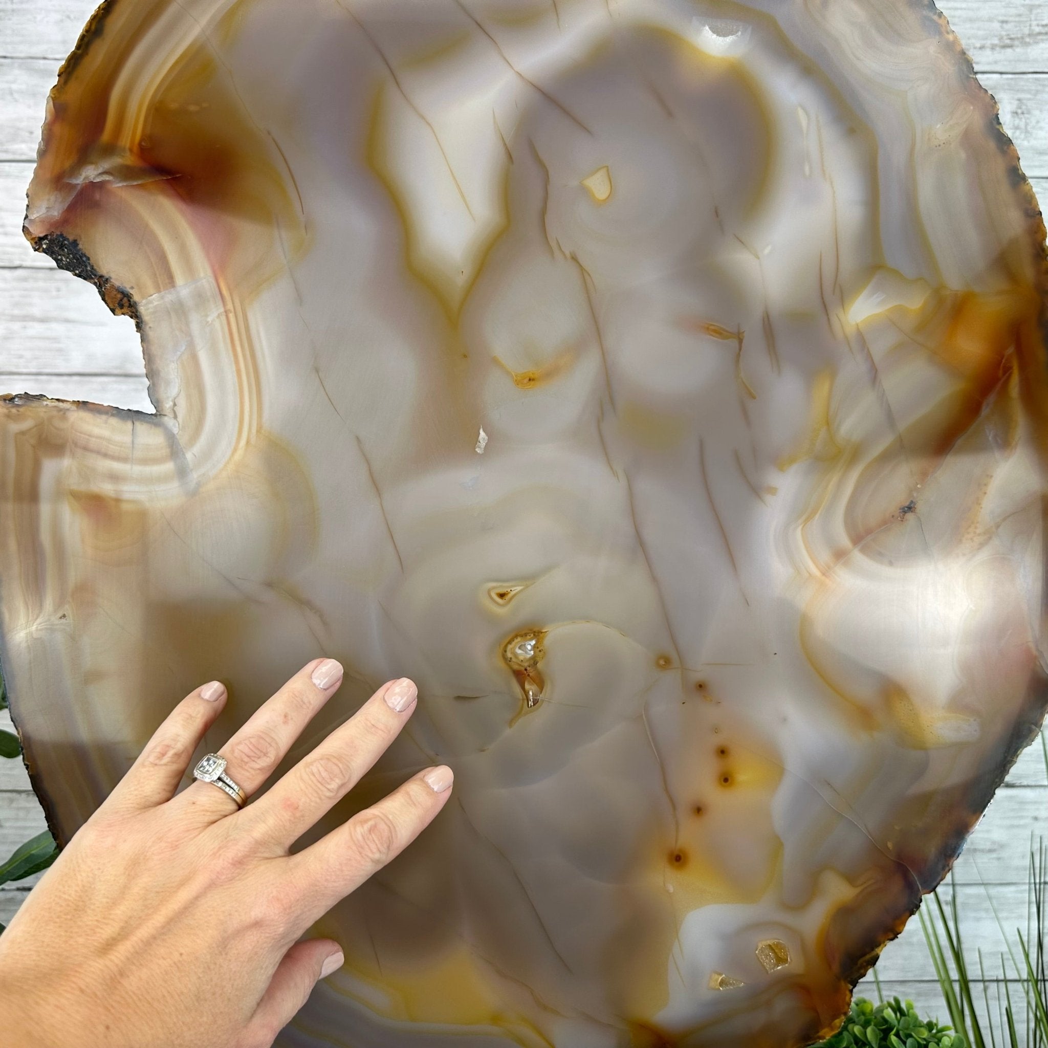 Special Large Natural Brazilian Agate Slice on a Metal Stand, 29.1" Tall #5056-0043 - Brazil GemsBrazil GemsSpecial Large Natural Brazilian Agate Slice on a Metal Stand, 29.1" Tall #5056-0043Slices on Fixed Bases5056-0043