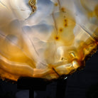 Special Large Natural Brazilian Agate Slice on a Metal Stand, 29.1" Tall #5056-0043 - Brazil GemsBrazil GemsSpecial Large Natural Brazilian Agate Slice on a Metal Stand, 29.1" Tall #5056-0043Slices on Fixed Bases5056-0043