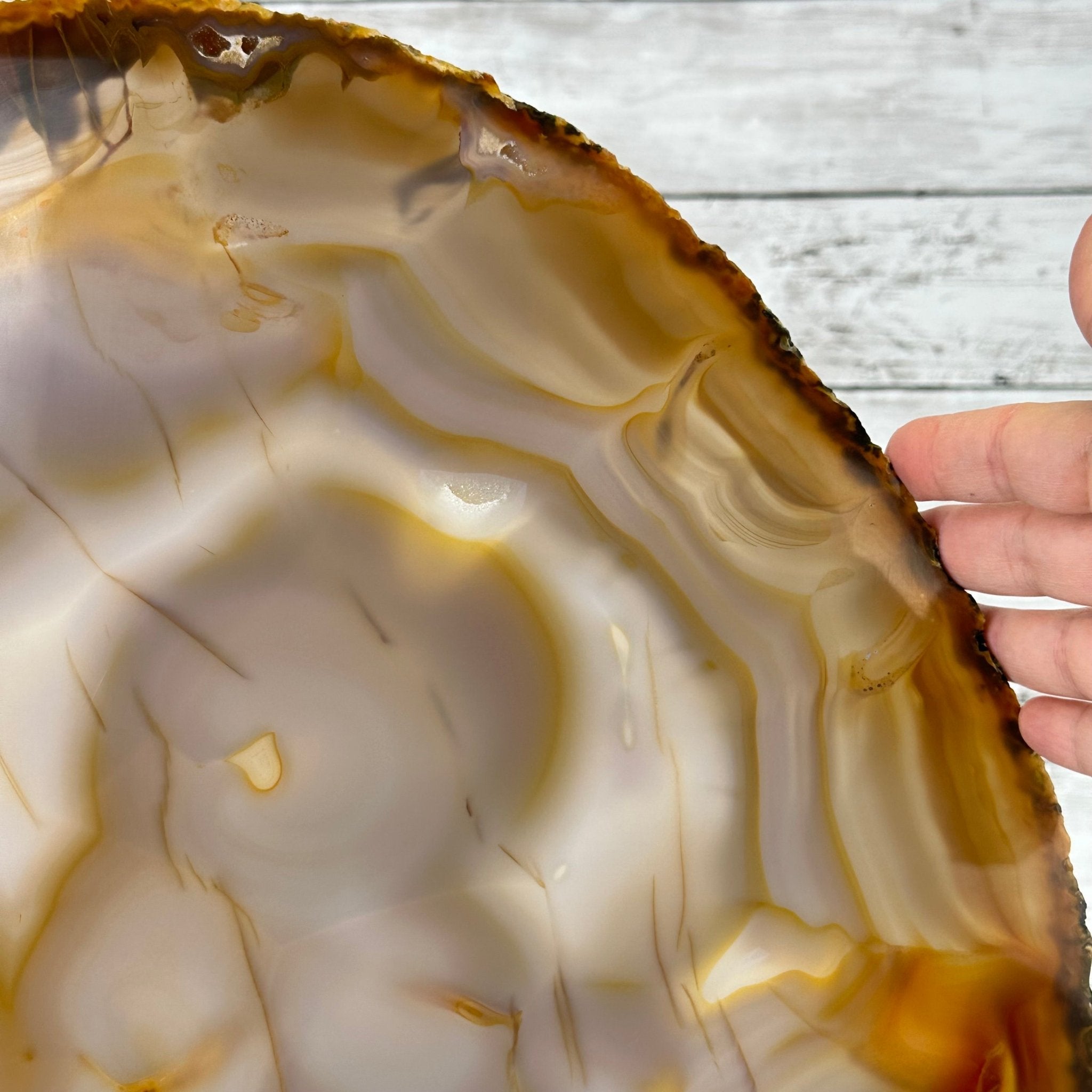 Special Large Natural Brazilian Agate Slice on a Metal Stand, 29.1" Tall #5056-0043 - Brazil GemsBrazil GemsSpecial Large Natural Brazilian Agate Slice on a Metal Stand, 29.1" Tall #5056-0043Slices on Fixed Bases5056-0043