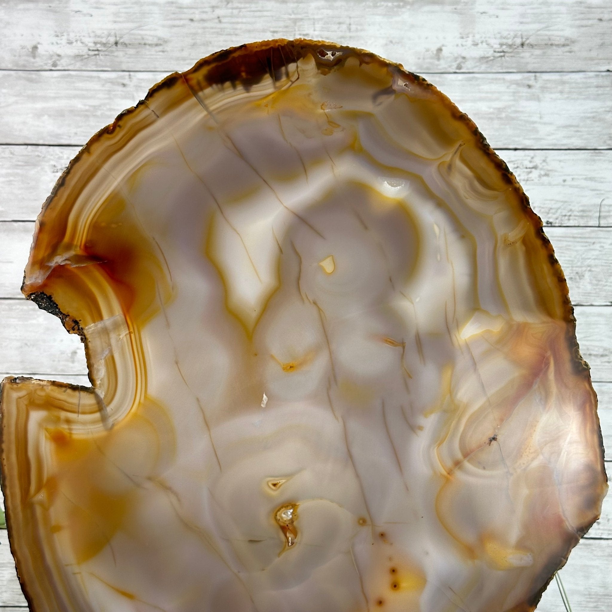Special Large Natural Brazilian Agate Slice on a Metal Stand, 29.1" Tall #5056-0043 - Brazil GemsBrazil GemsSpecial Large Natural Brazilian Agate Slice on a Metal Stand, 29.1" Tall #5056-0043Slices on Fixed Bases5056-0043