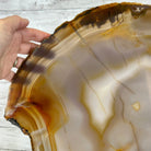 Special Large Natural Brazilian Agate Slice on a Metal Stand, 29.1" Tall #5056-0043 - Brazil GemsBrazil GemsSpecial Large Natural Brazilian Agate Slice on a Metal Stand, 29.1" Tall #5056-0043Slices on Fixed Bases5056-0043