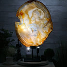 Special Large Natural Brazilian Agate Slice on a Metal Stand, 29.1" Tall #5056-0043 - Brazil GemsBrazil GemsSpecial Large Natural Brazilian Agate Slice on a Metal Stand, 29.1" Tall #5056-0043Slices on Fixed Bases5056-0043